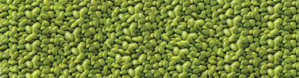 edamame beans, vibrant green, natural close-up texture, SD Desktop Wallpaper