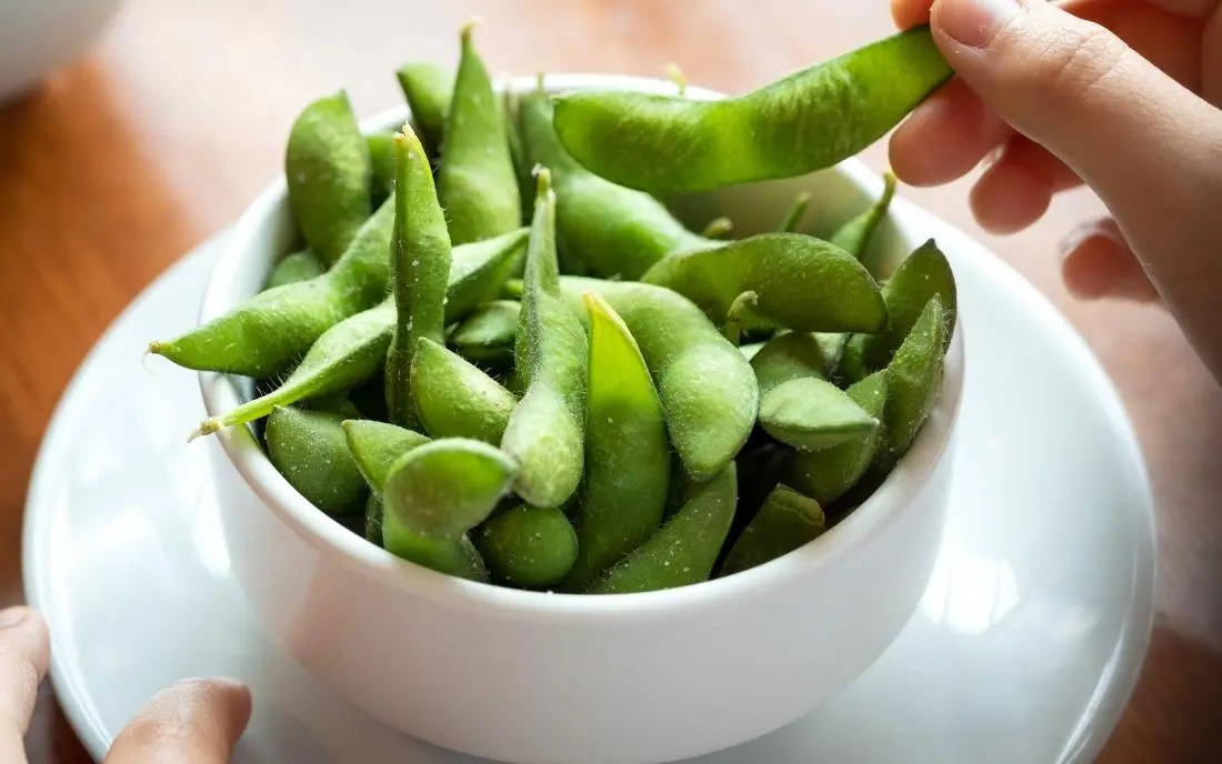 edamame, bowl, steamed soybeans, SD Desktop Wallpaper