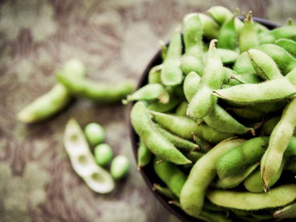 fresh edamame beans, dark bowl, textured surface, SD Desktop Wallpaper