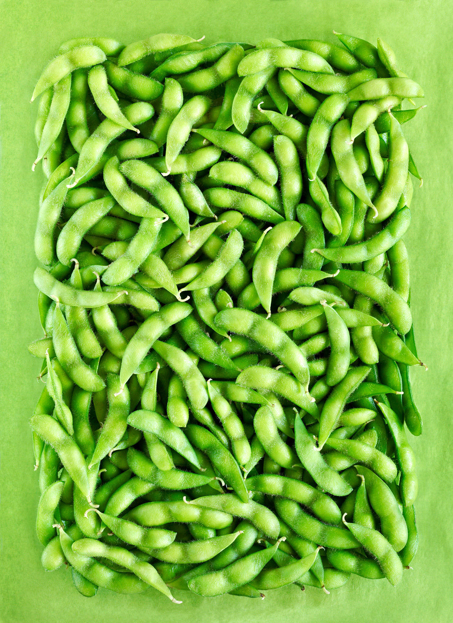 edamame beans, square, top-down view, Full HD Phone Wallpaper