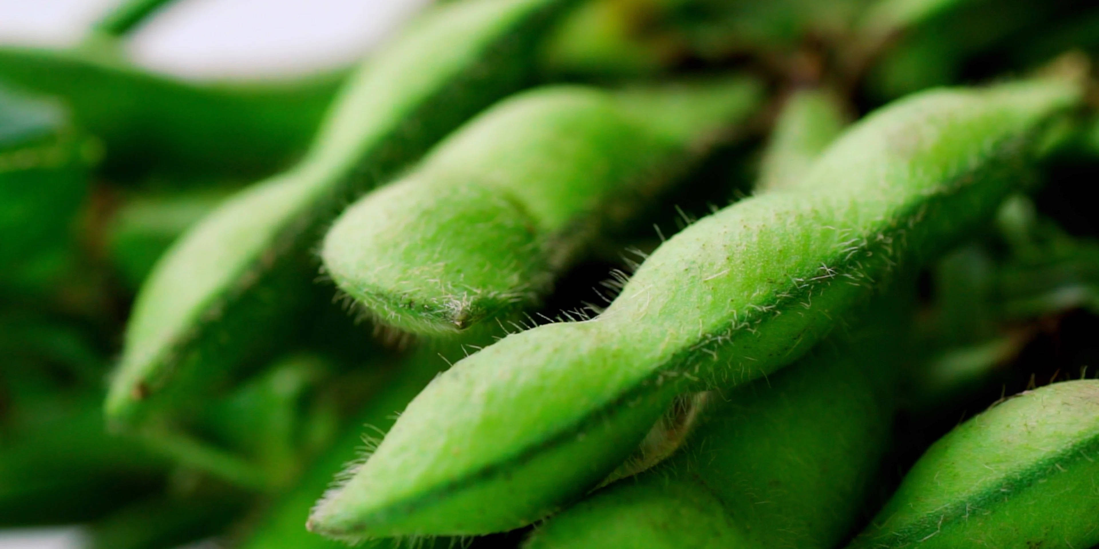 edamame beans, vibrant green, soybean pods, 4K Desktop Wallpaper