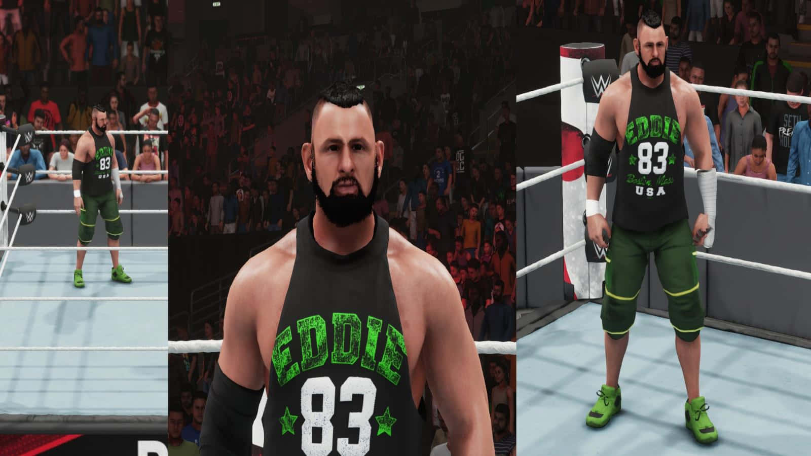 Eddie Edwards, WWE wrestler, green and black gear, HD Desktop Wallpaper
