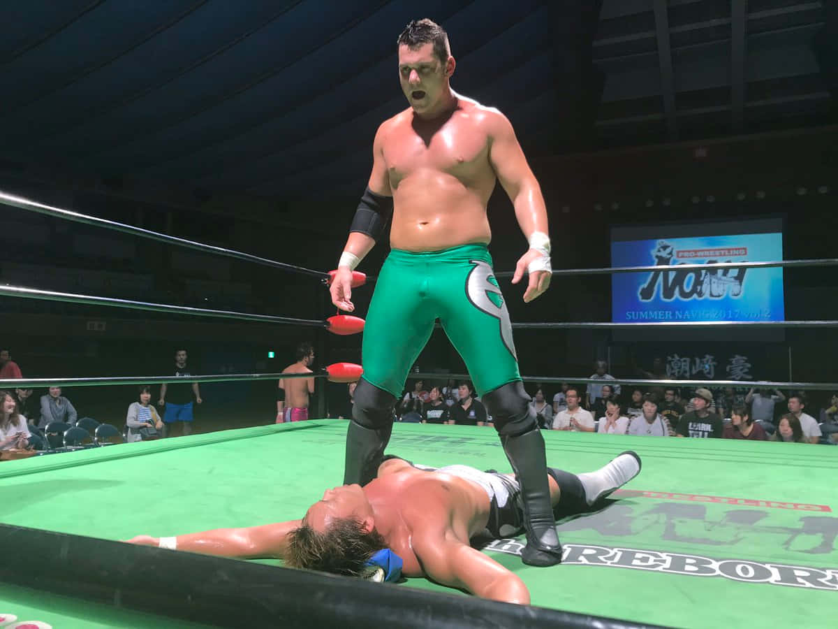 Eddie Edwards, Pro Wrestling ring, green trunks, SD Desktop Wallpaper