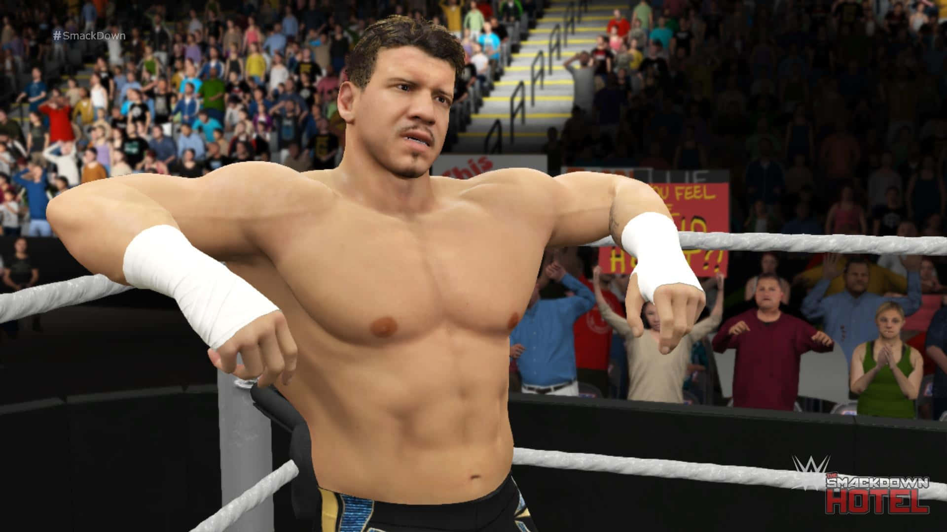 Eddie Guerrero, wrestling ring turnbuckle, cheering crowd, Full HD Desktop Wallpaper