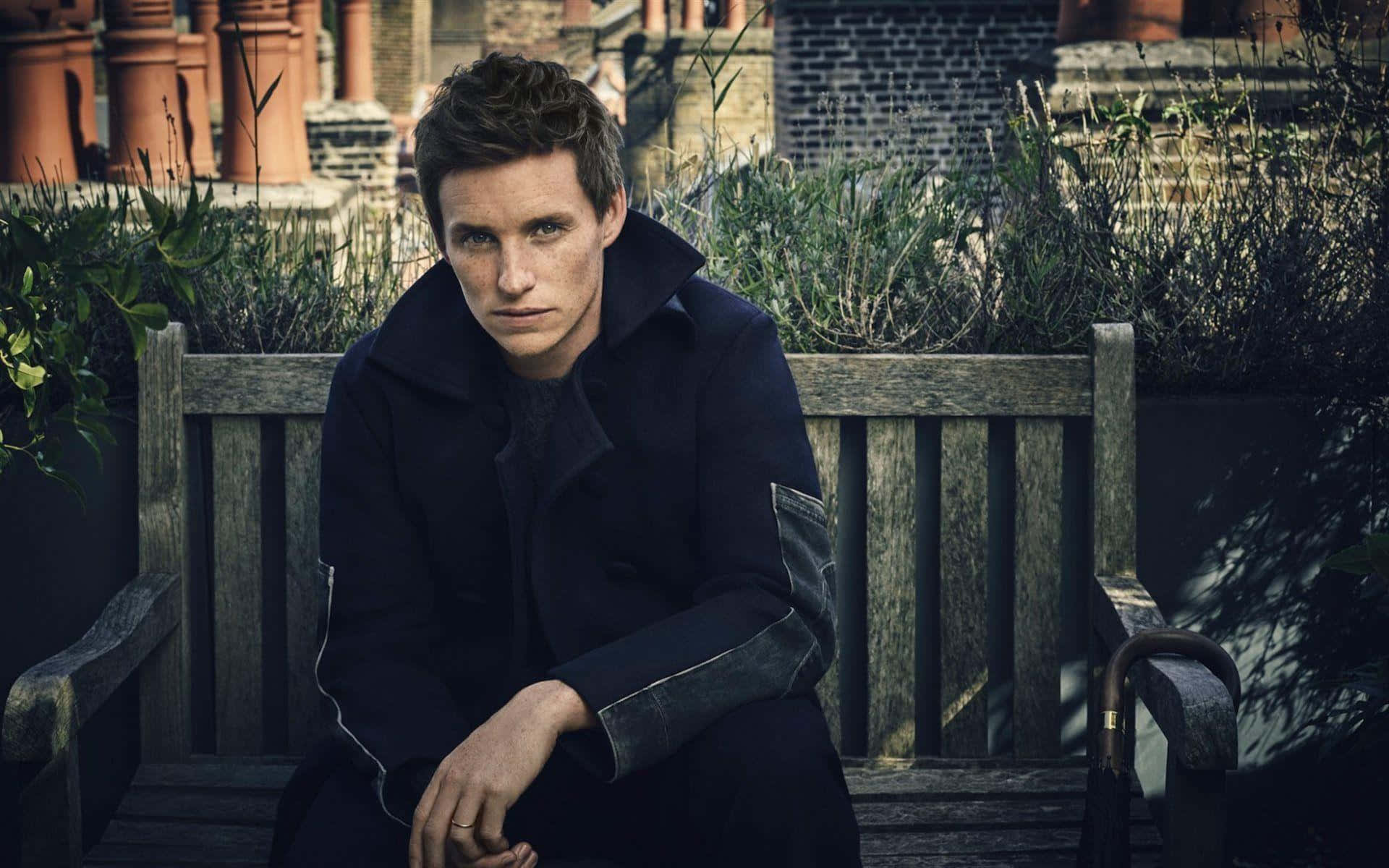 Eddie Redmayne, dark coat, weathered wooden bench, Full HD Desktop Wallpaper
