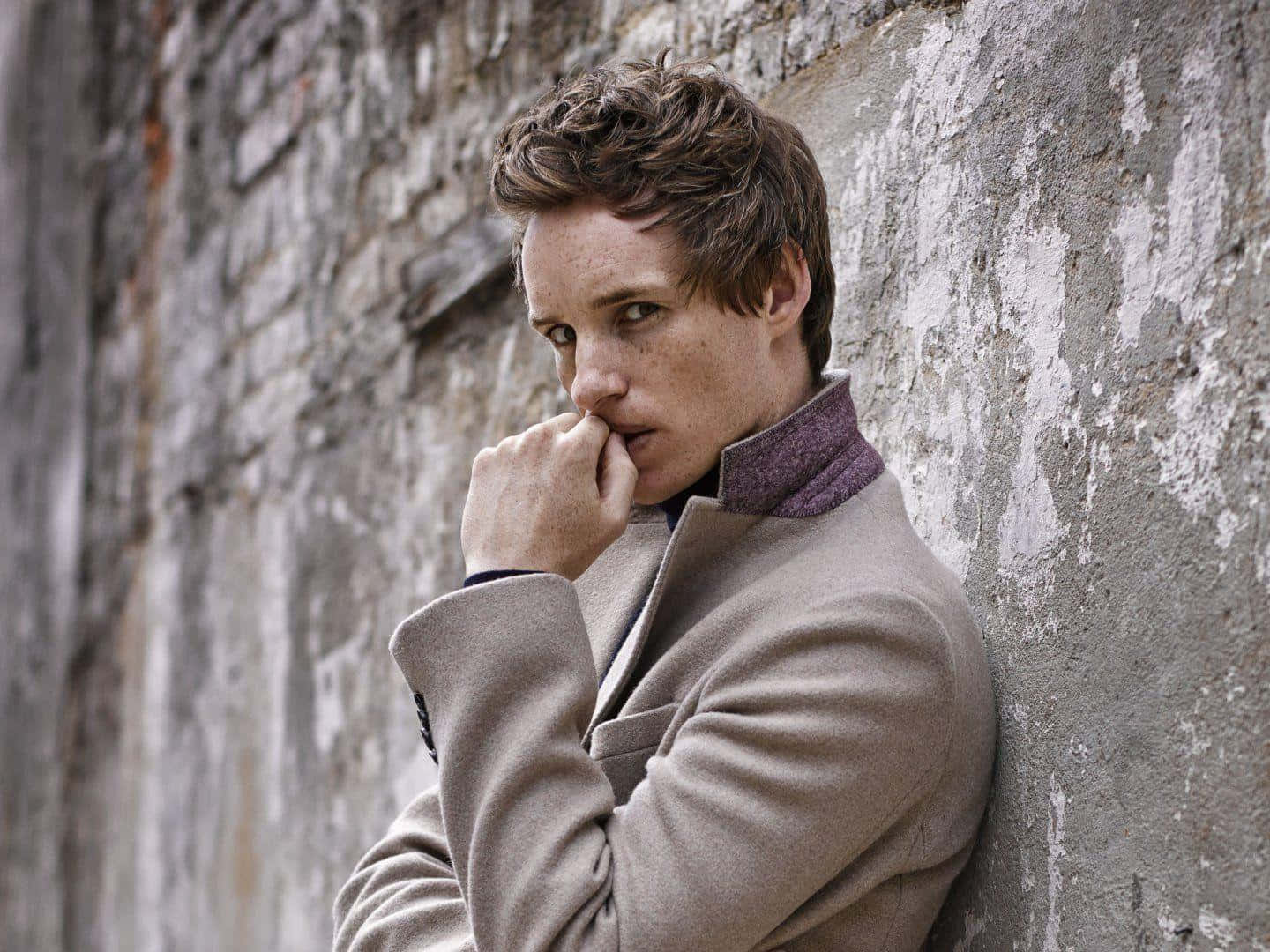 Eddie Redmayne, red carpet, weathered stone wall, HD Desktop Wallpaper
