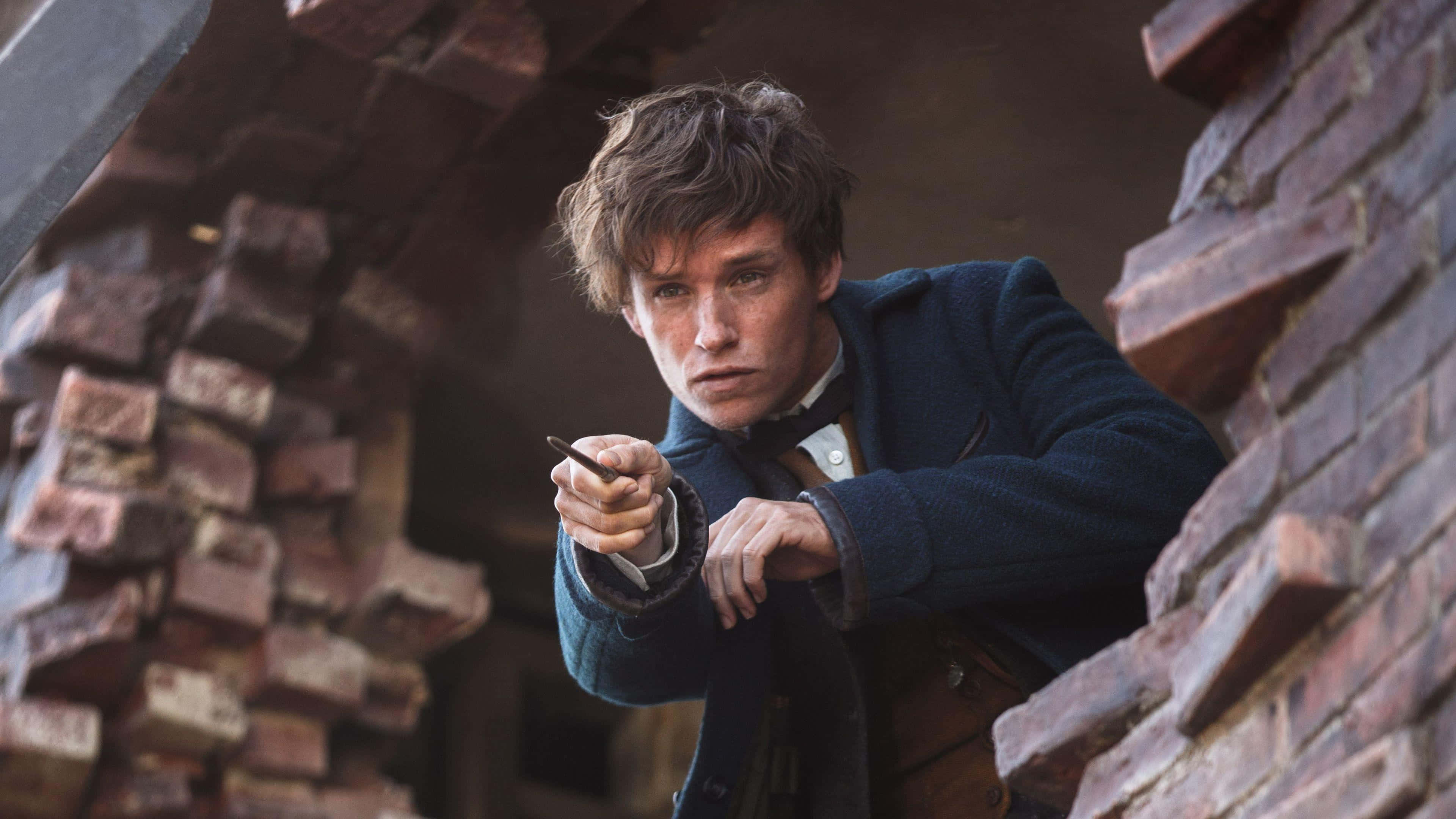 Eddie Redmayne, red carpet event, blue coat, 4K Desktop Wallpaper