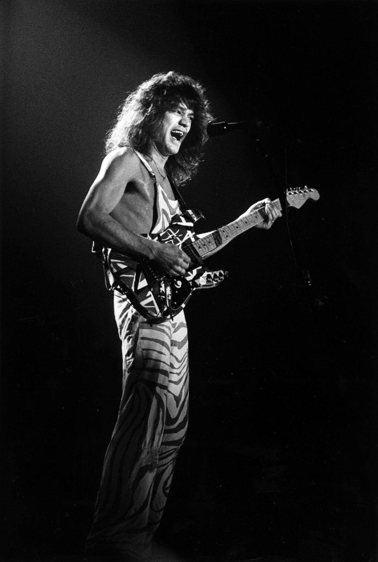 Eddie Van Halen, zombie-print pants, electric guitar, HD Phone Wallpaper