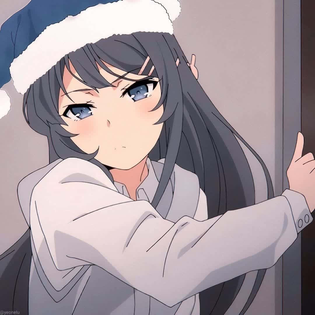 Discord Anime Pfp, Santa hat, long dark hair, SD Desktop Wallpaper