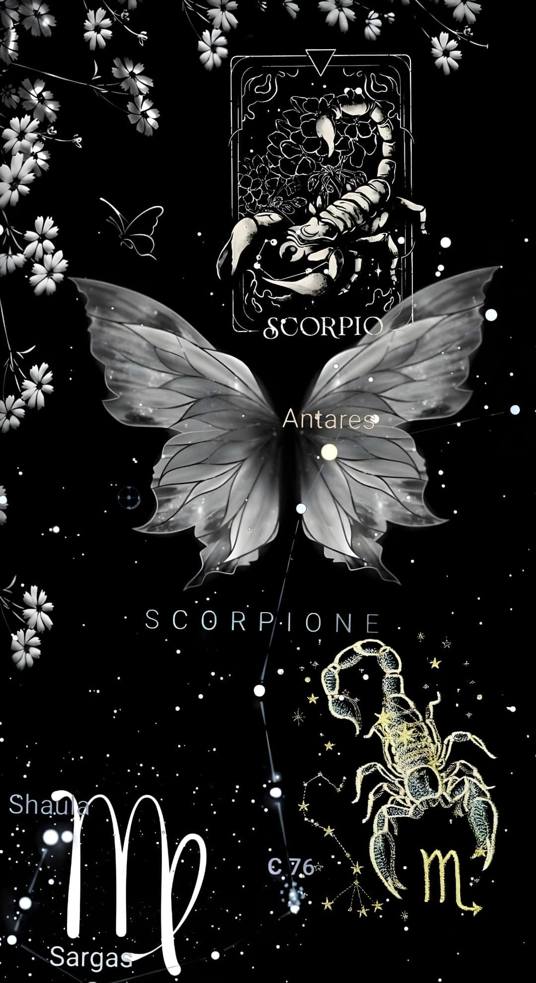Edgy Scorpio Cosmic Vibes, butterfly with scorpion motifs, constellations, Full HD Phone Wallpaper