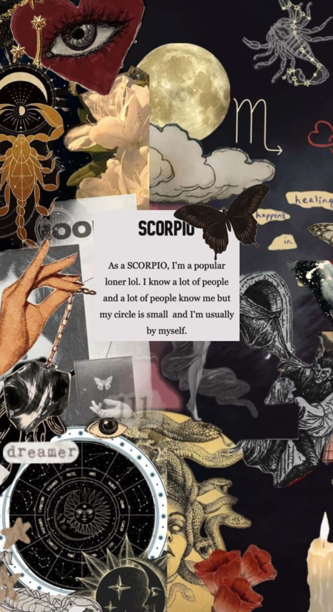 moon scorpion eye, butterflies, zodiac symbols, Full HD Phone Wallpaper