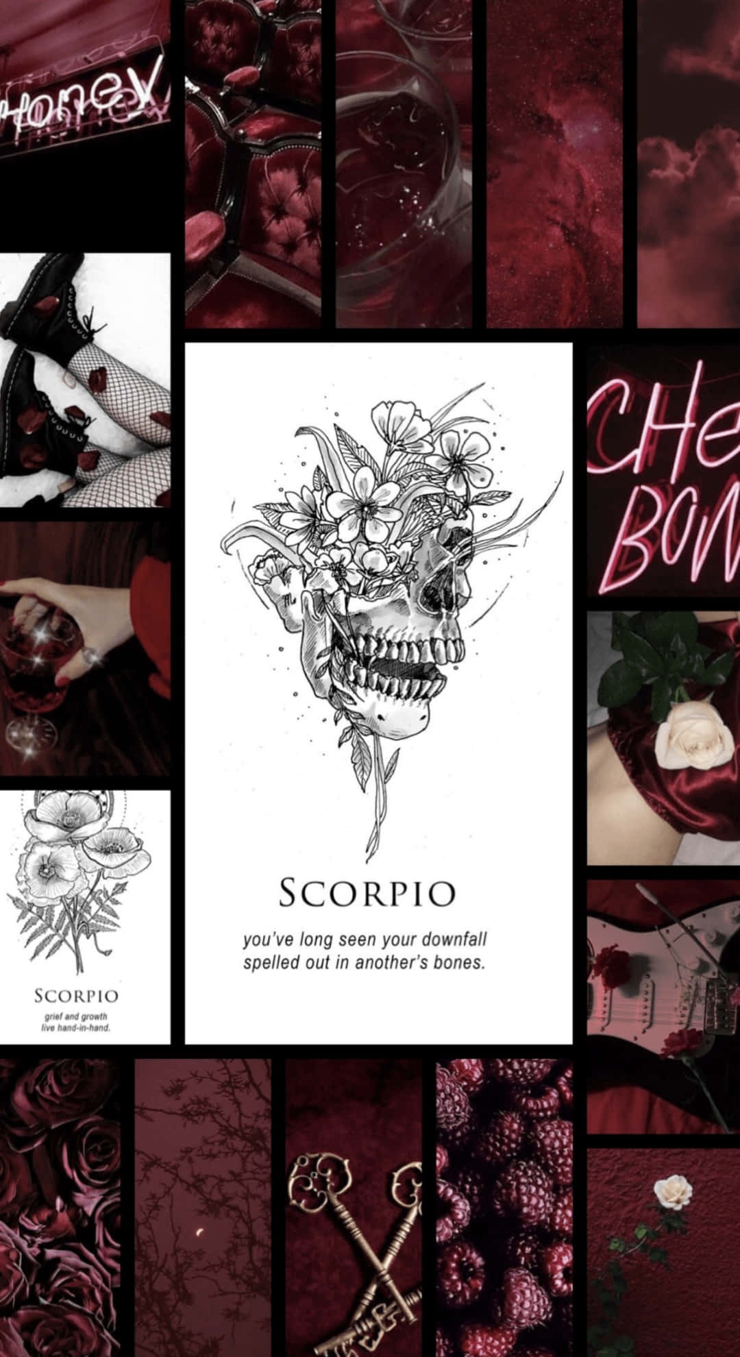 Edgy Scorpio Dark Aesthetic, deep red, floral skull illustration, Full HD Phone Wallpaper