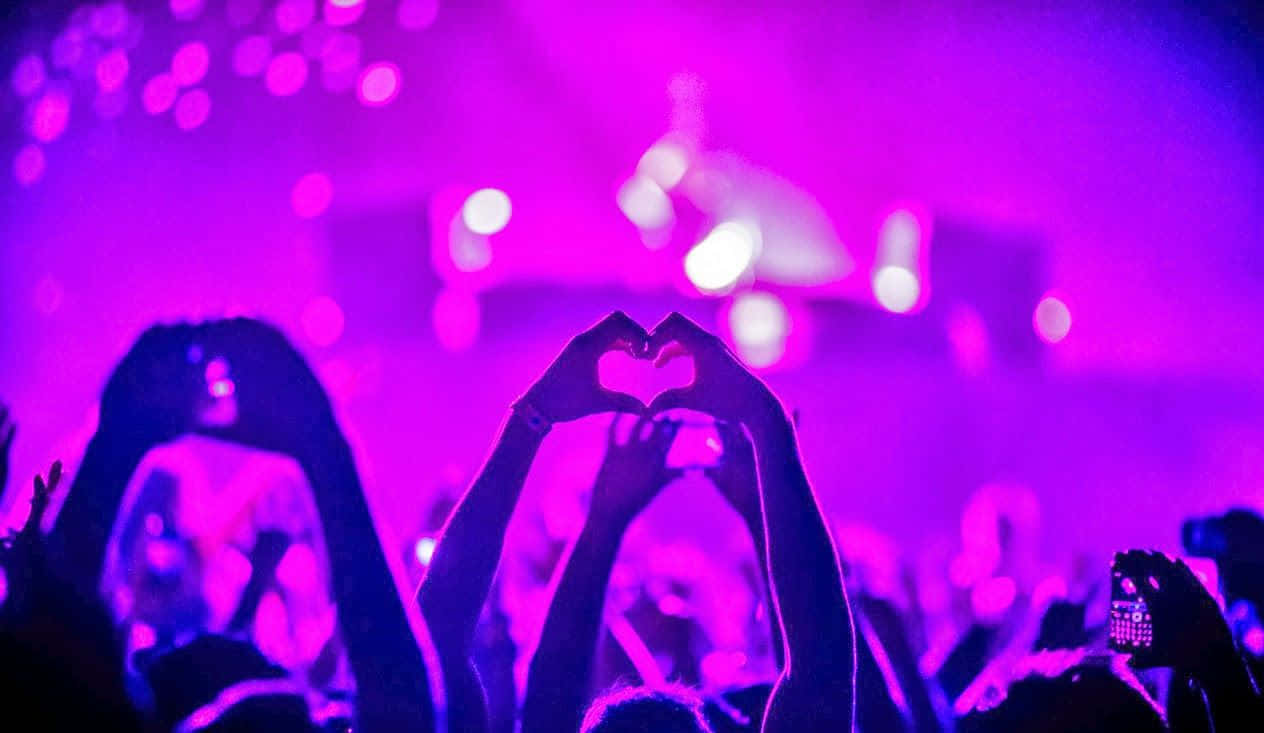 EDM, purple stage lights, crowd, SD Desktop Wallpaper