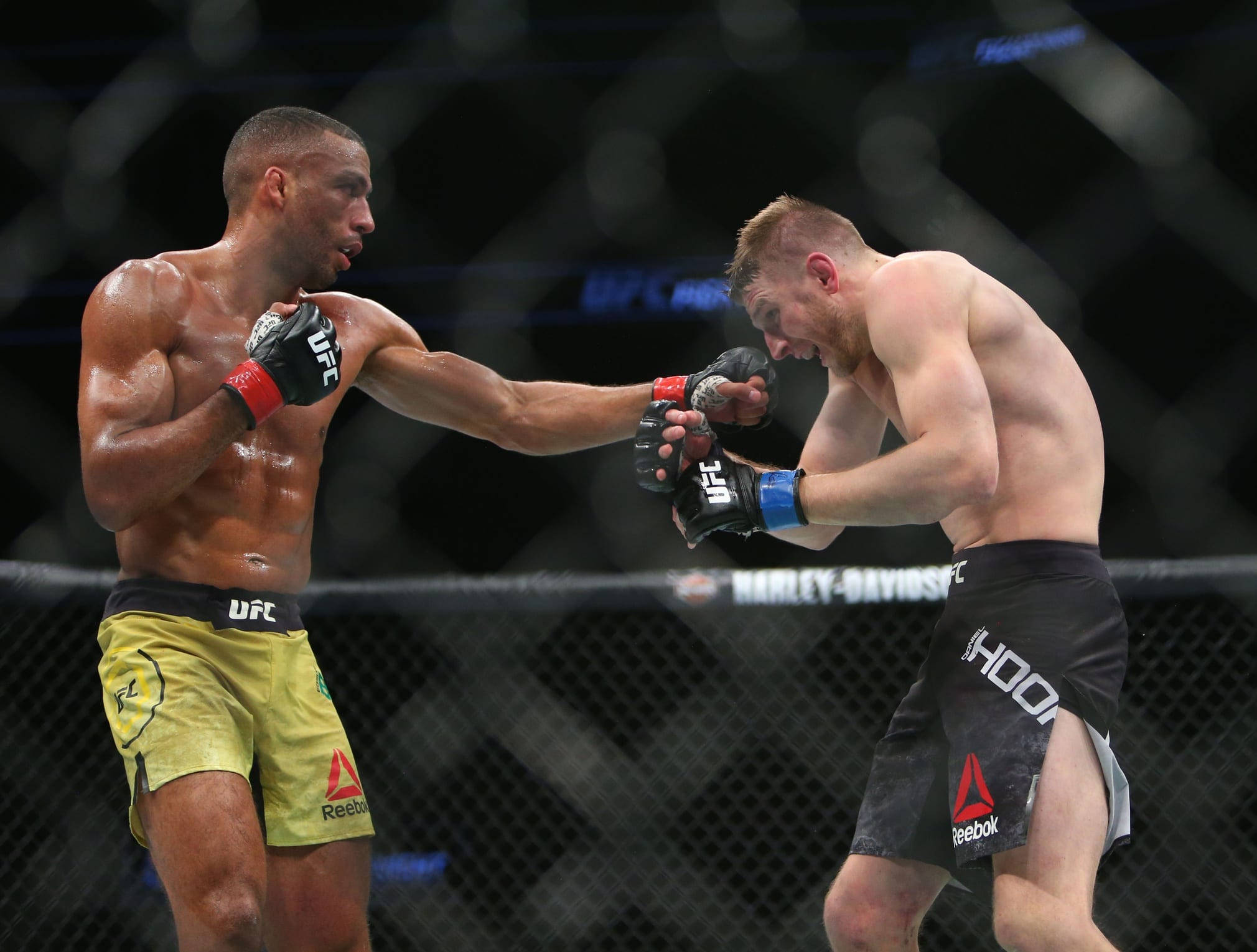 Edson Barboza, MMA fighters, cage, Full HD Desktop Wallpaper