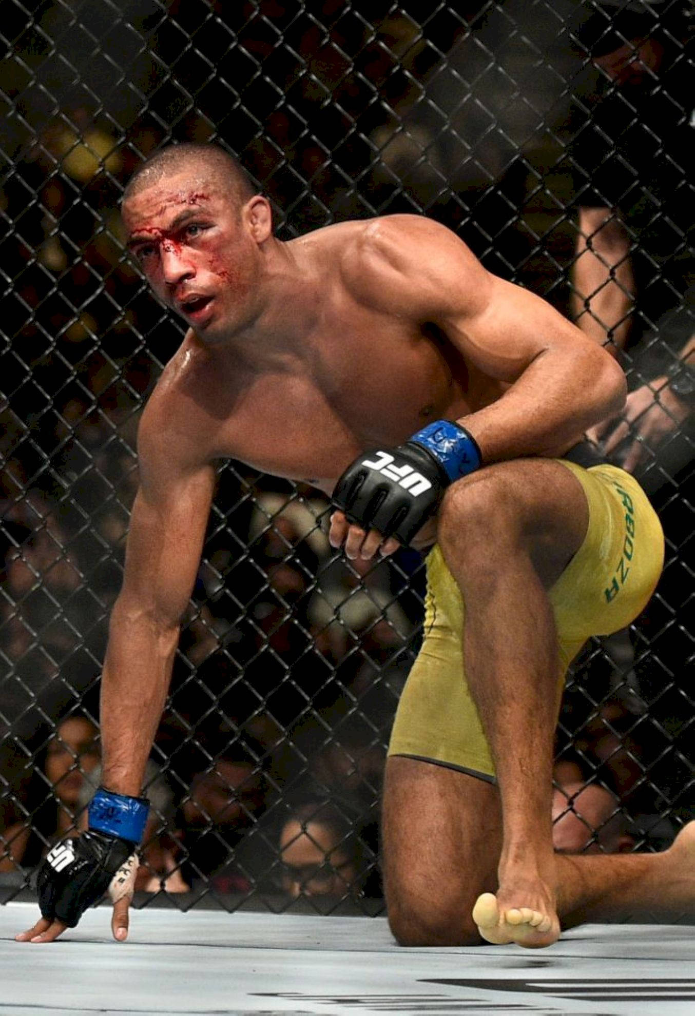 Edson Barboza, one knee, MMA fighter, Full HD Phone Wallpaper
