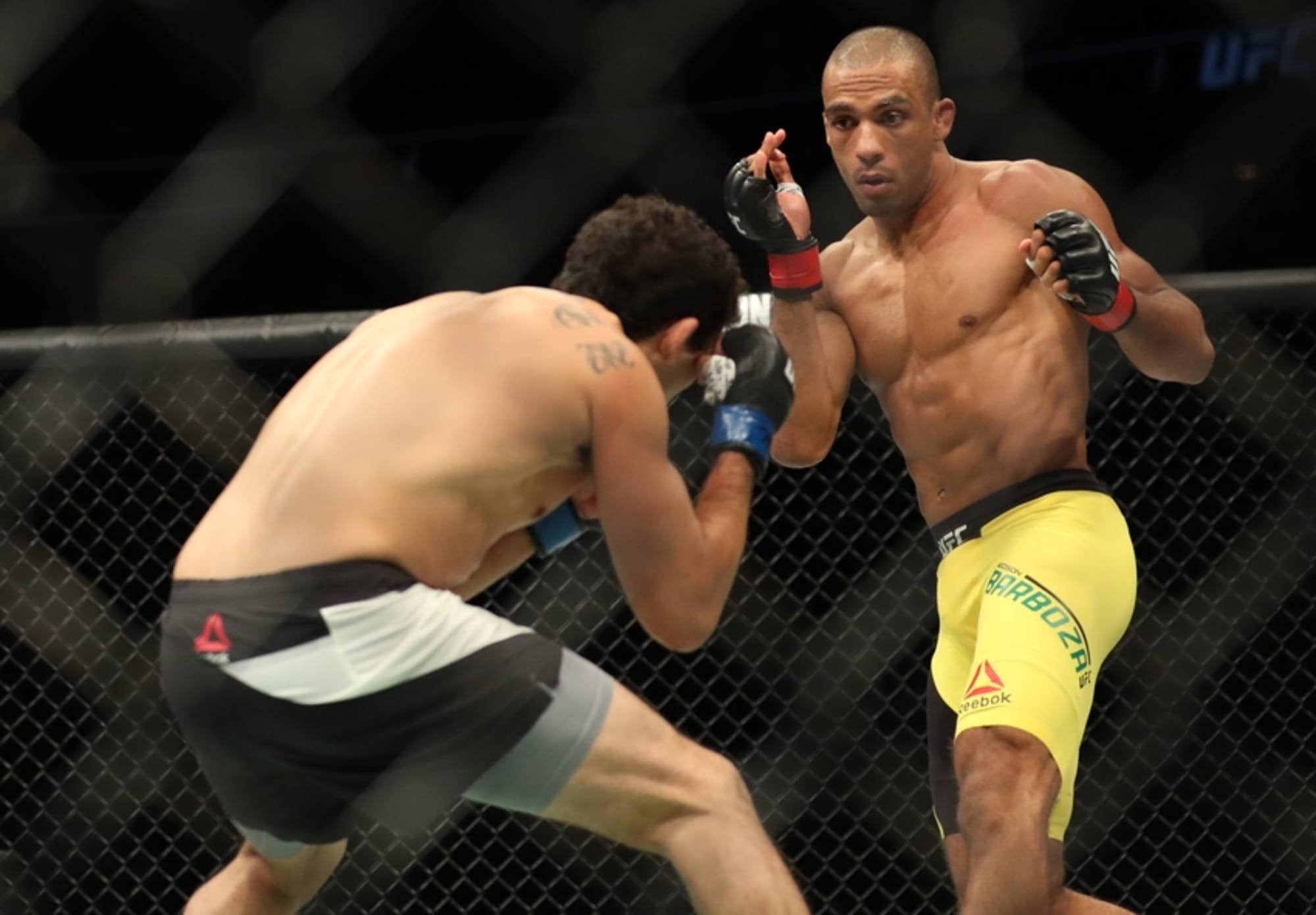 Edson Barboza, cage, MMA match, Full HD Desktop Wallpaper