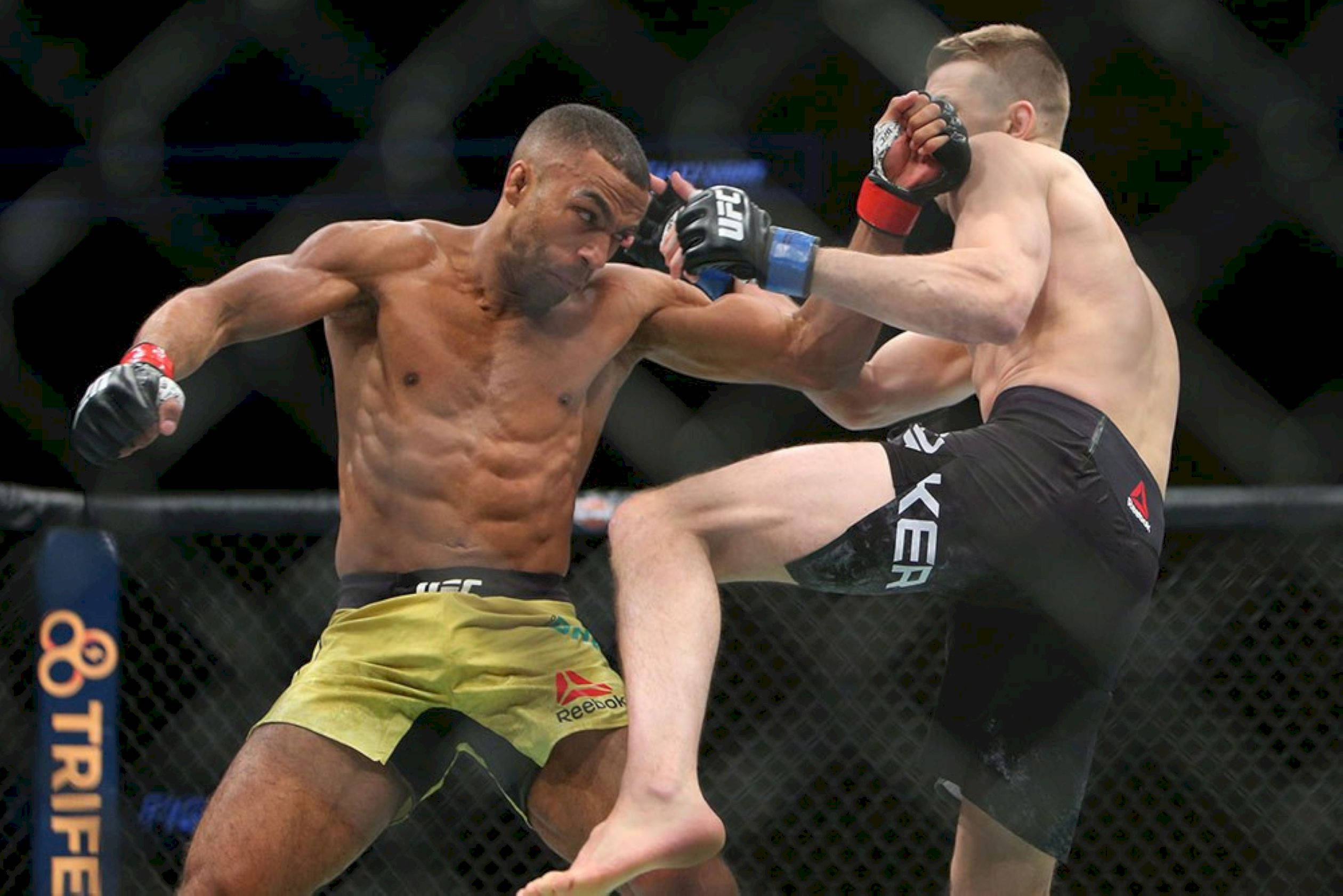 Edson Barboza, MMA fighters, cage match, Full HD Desktop Wallpaper