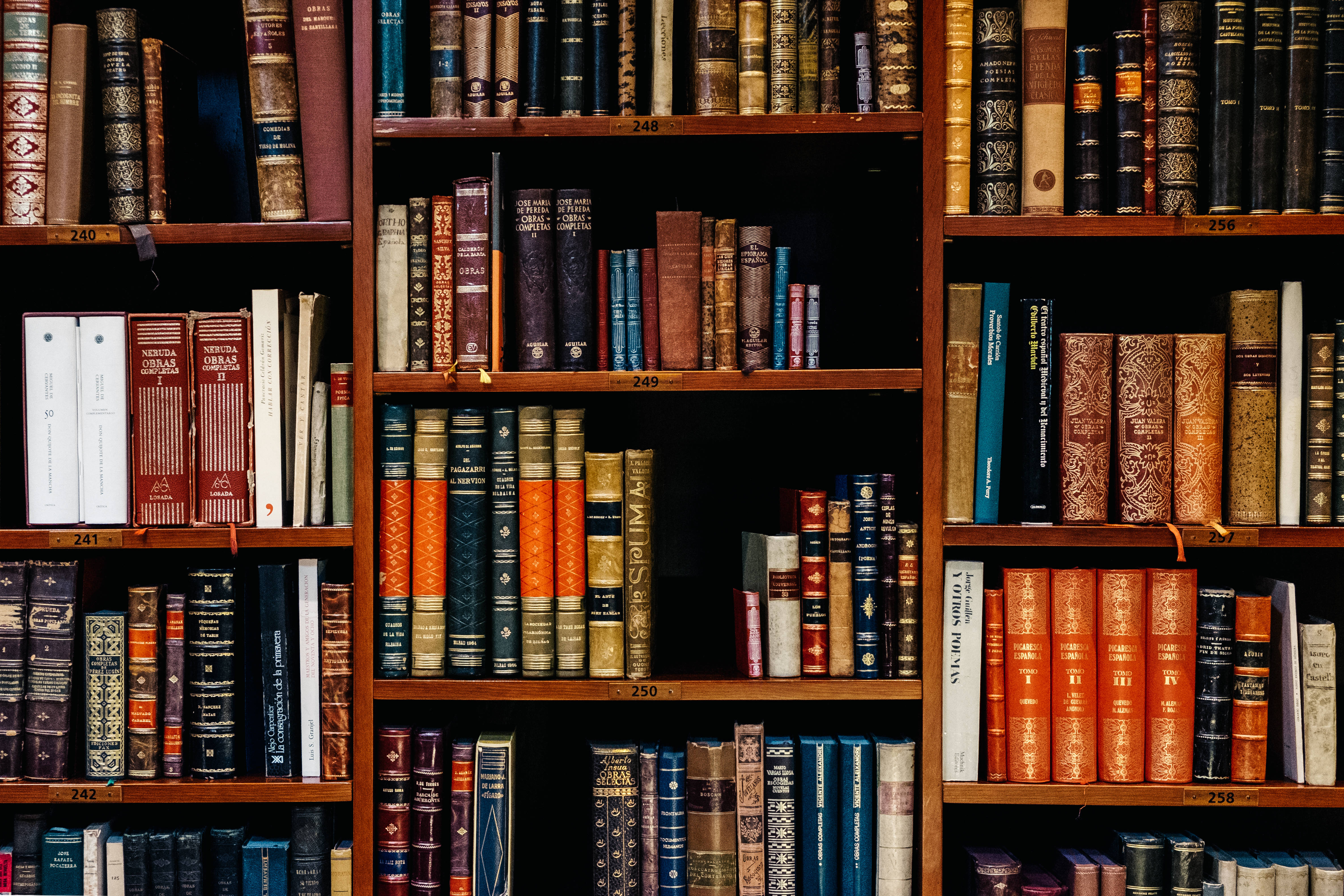 wooden bookshelves, vintage leather-bound books, rich reds, 4K Desktop Wallpaper