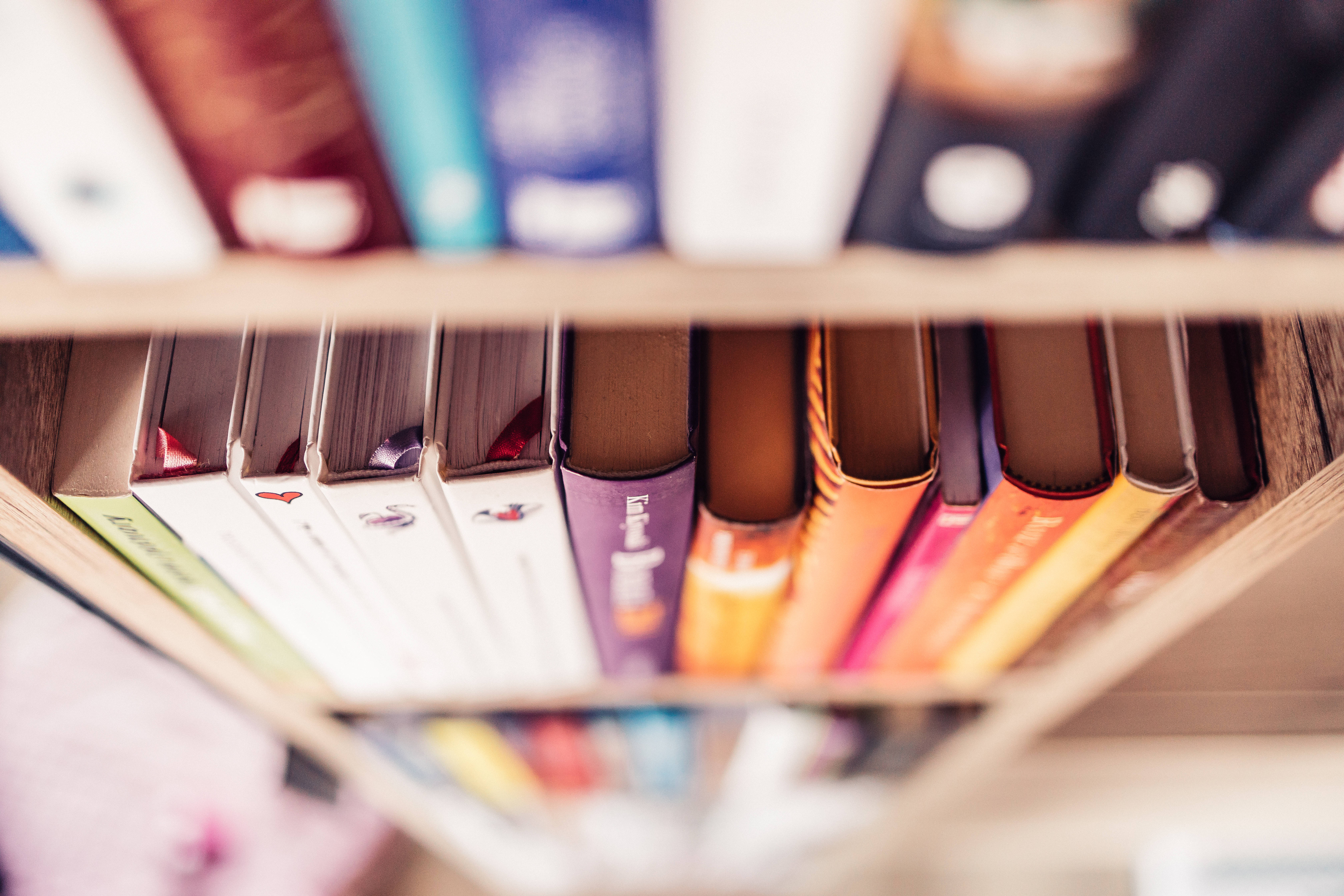 bookshelf, wooden shelf, colorful book spines, 5K Desktop Wallpaper