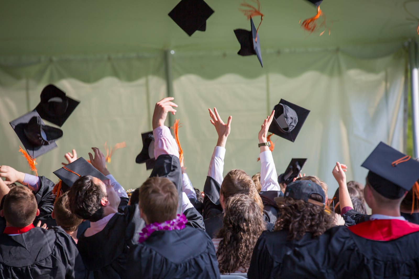 black gowns, green tent, graduates, HD Desktop Wallpaper