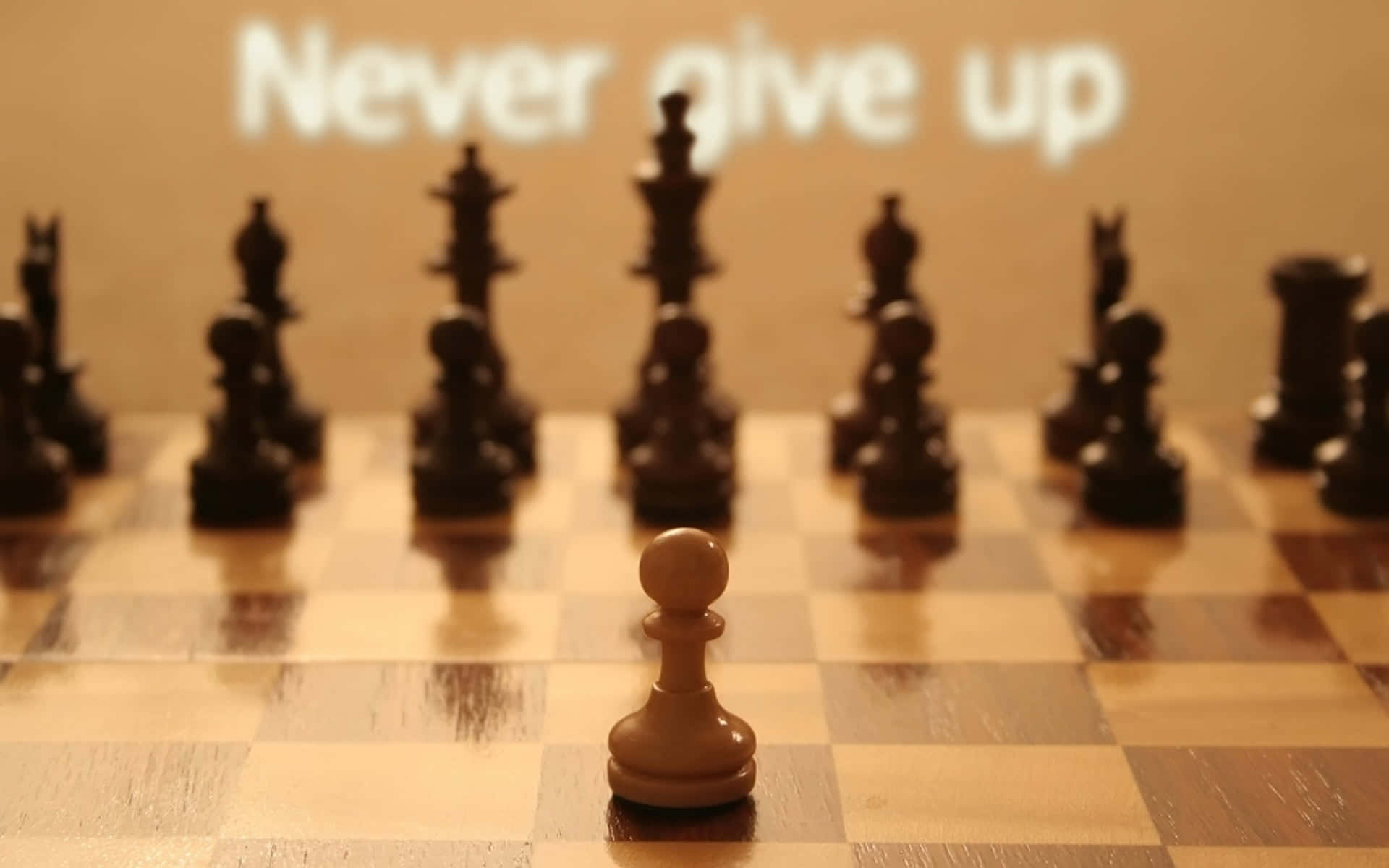 white pawn, wooden chessboard, dark pieces, Full HD Desktop Wallpaper
