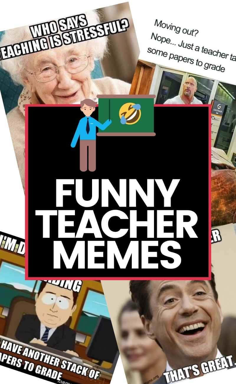 Educational Memes, 800 x 1300 wallpaper, smiling elderly women, HD Phone Wallpaper