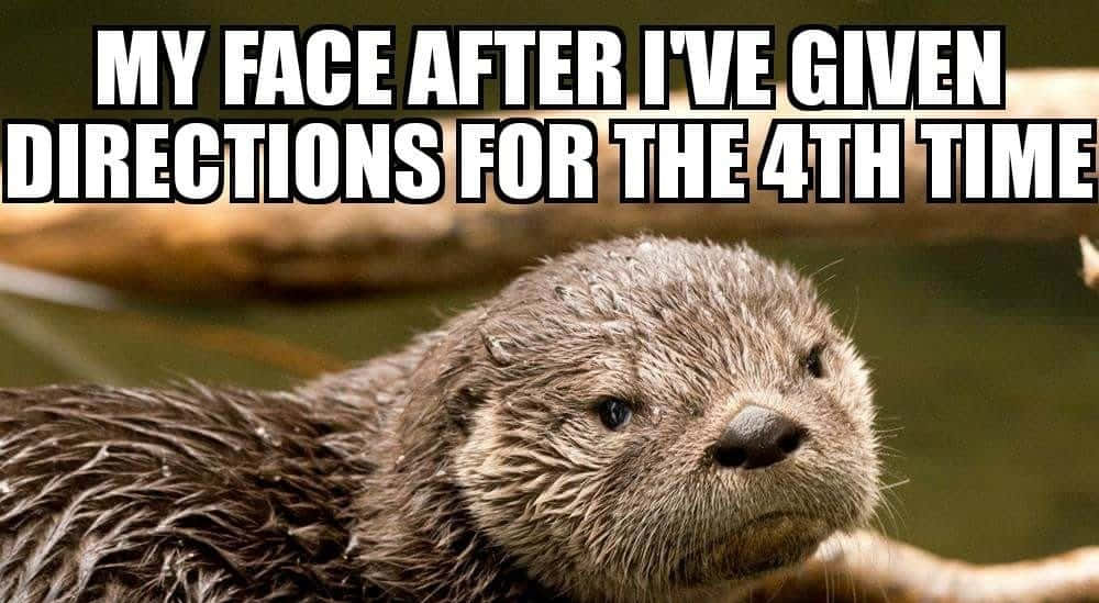 wet otter, weary expression, bold text, SD Desktop Wallpaper