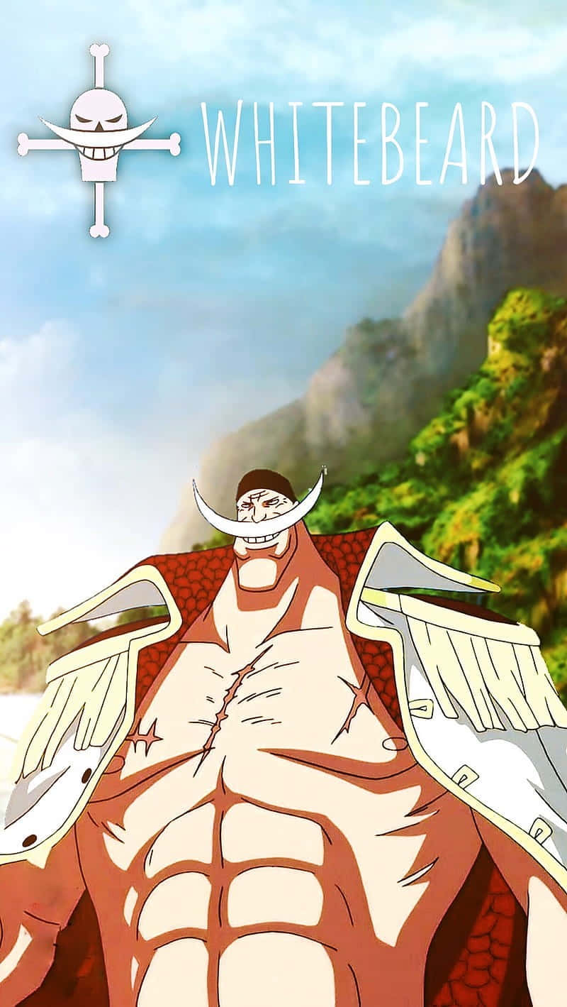 Edward Newgate, white beard, scarred chest, HD Phone Wallpaper