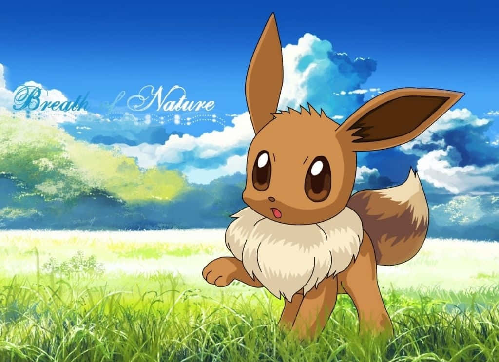 cute Eevee, brown Eevee, vibrant green grass, SD Desktop Wallpaper