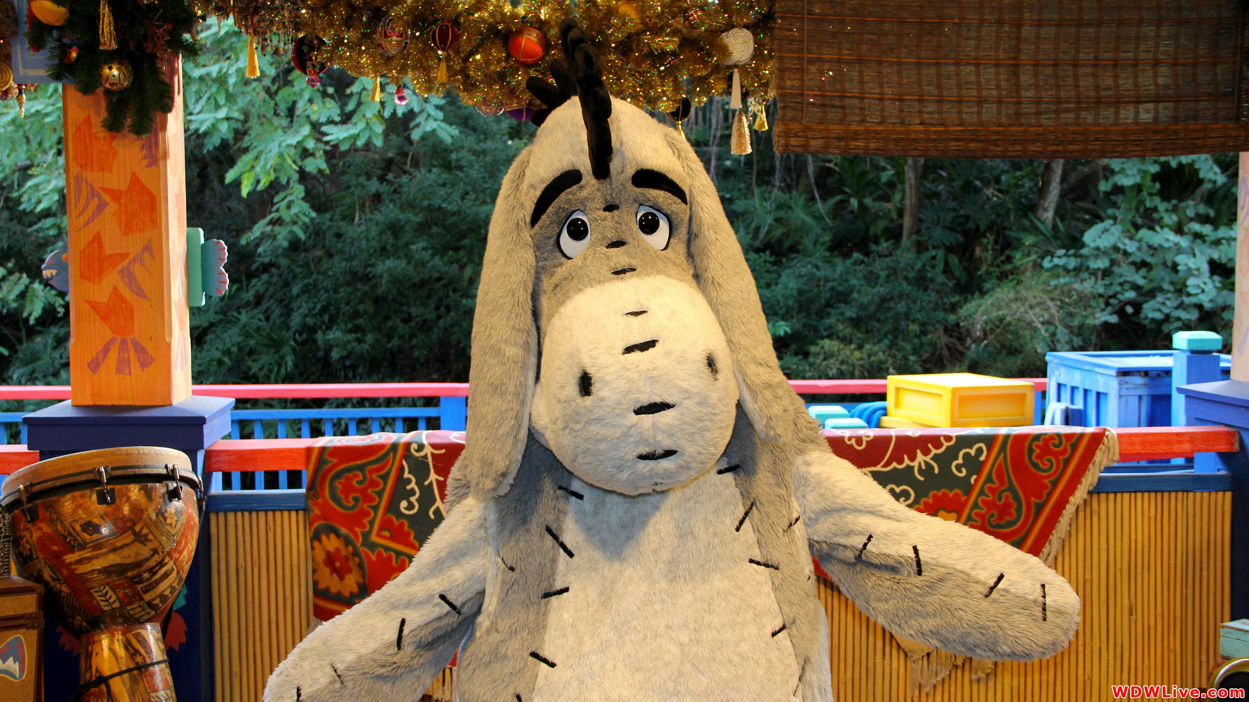 Eeyore, plush, porch, 2K Desktop Wallpaper