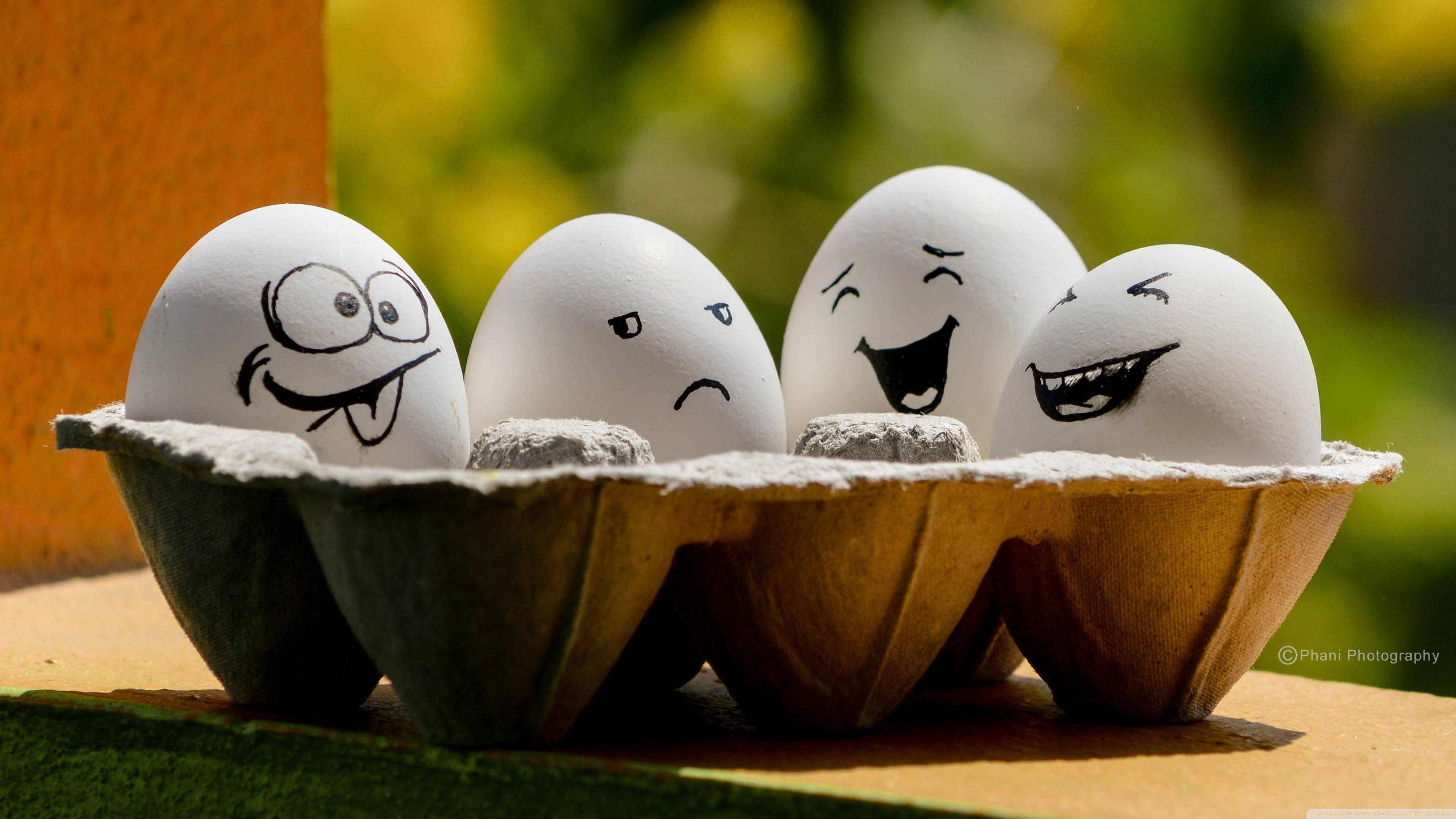 eggs, cartoon faces, cardboard tray, 4K Desktop Wallpaper