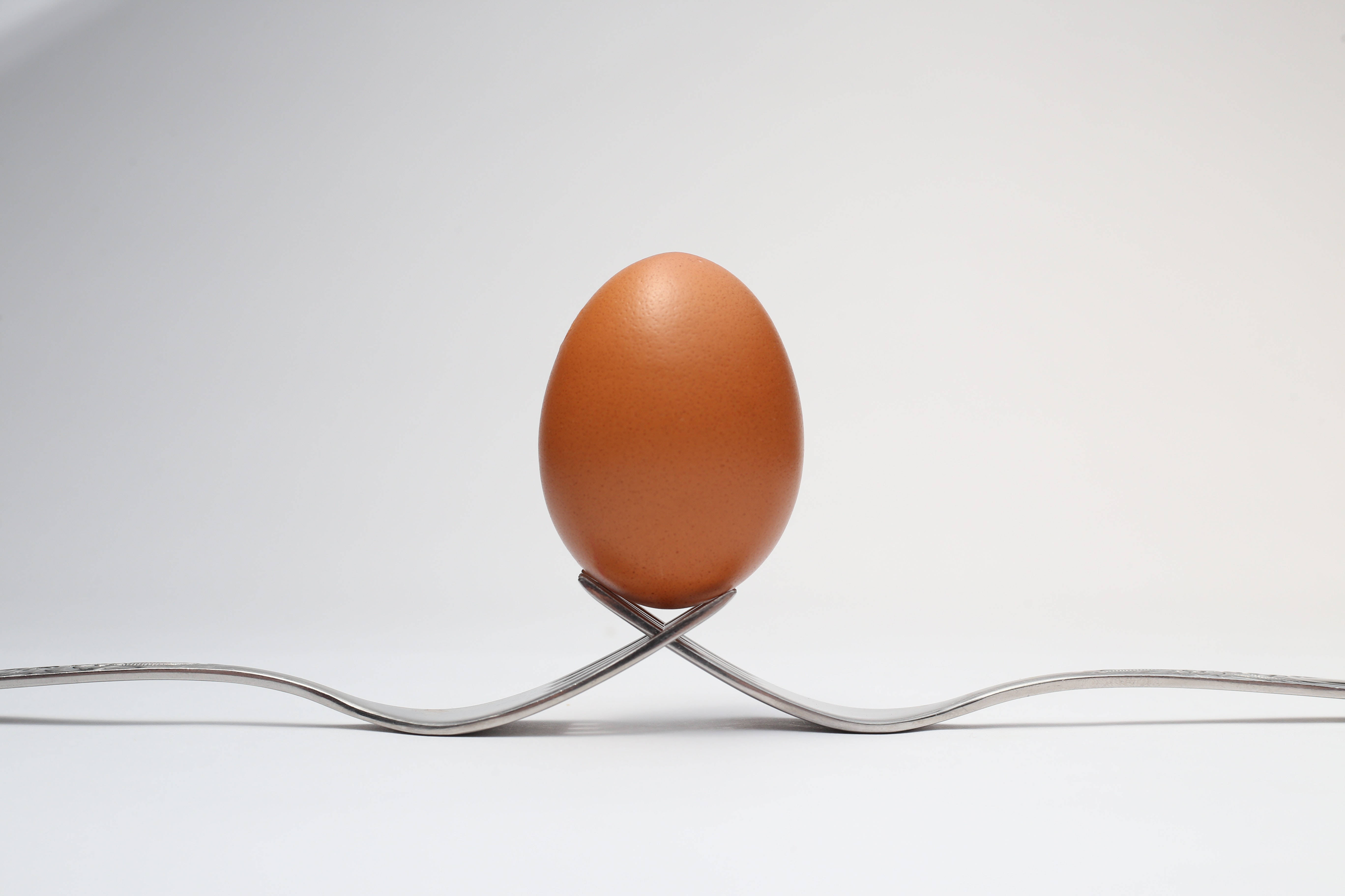 egg, forks, silver fork, 5K Desktop Wallpaper