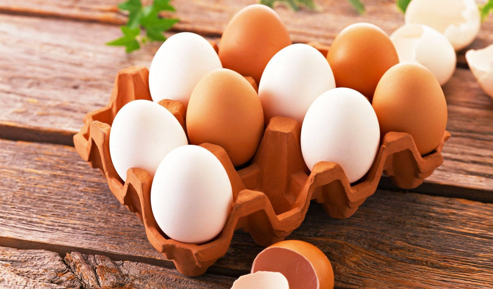 brown eggs, white eggs, cardboard tray, HD Desktop Wallpaper