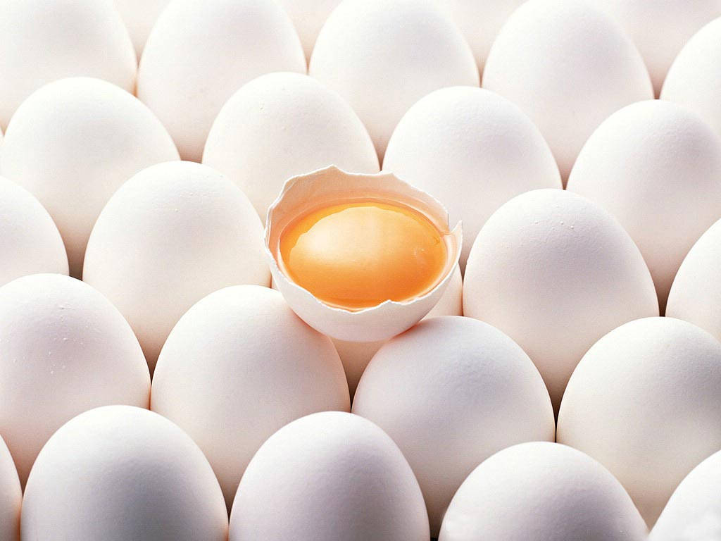 cracked egg, vibrant yellow yolk, uncracked eggs, SD Desktop Wallpaper