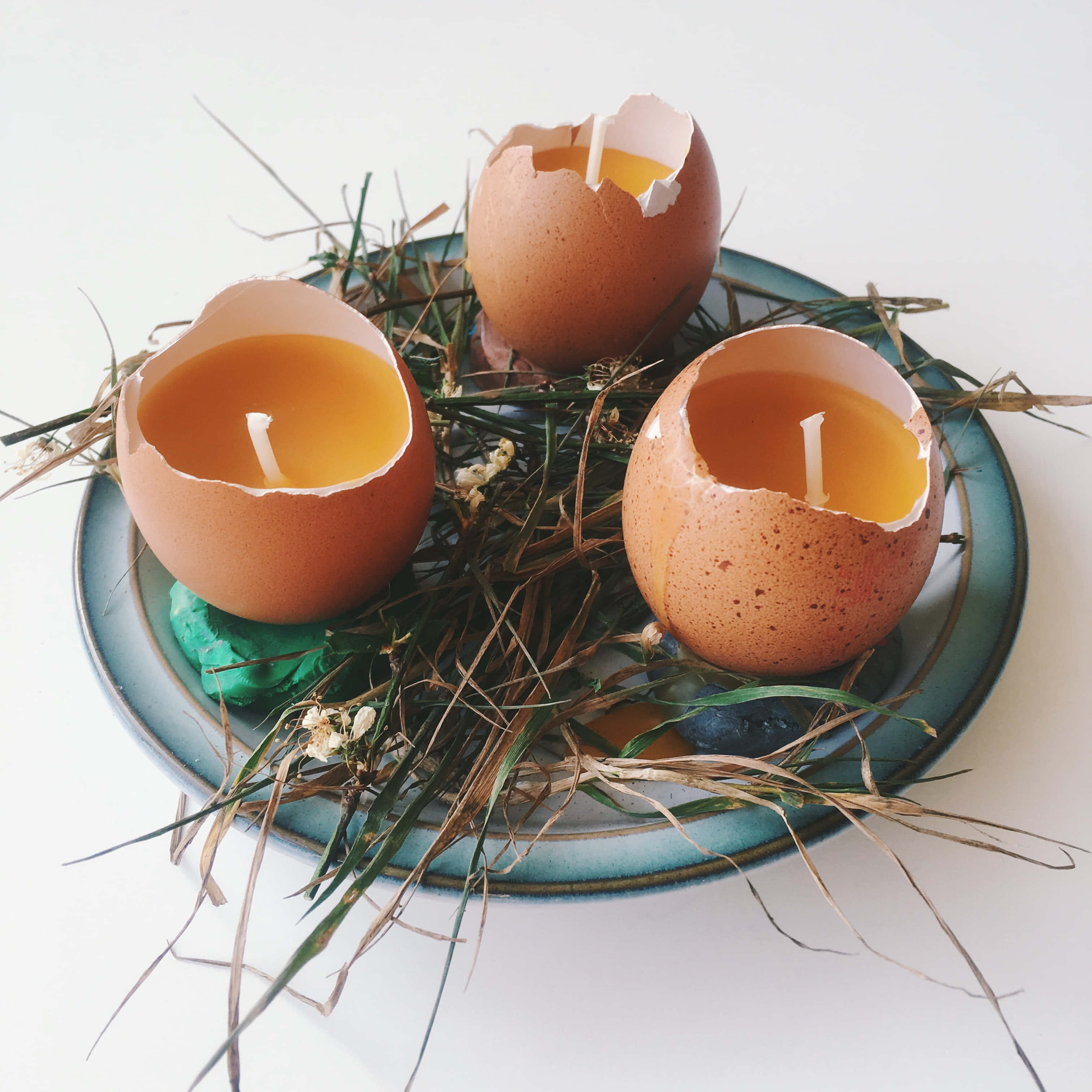 Eggshell, yellow wax, nest of grass, 2K Desktop Wallpaper