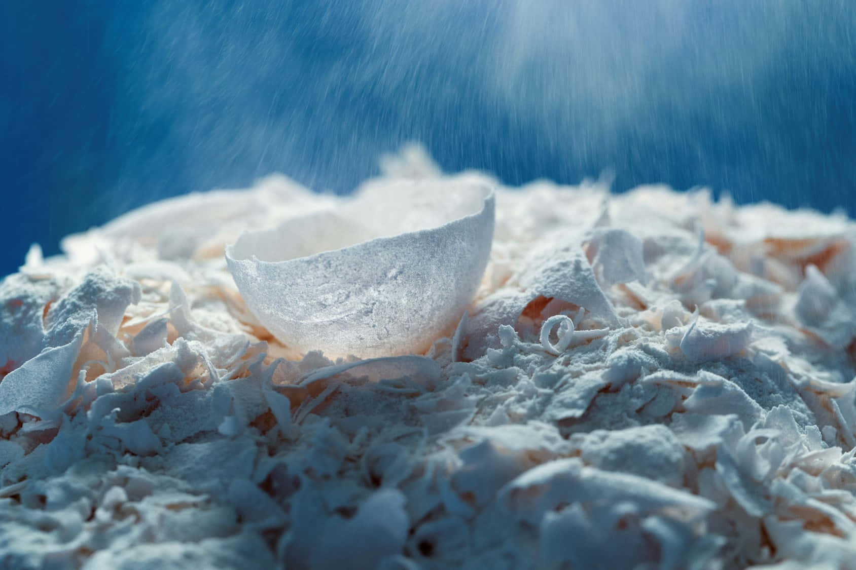 Eggshell, powdered sugar, sugar falling, HD Desktop Wallpaper