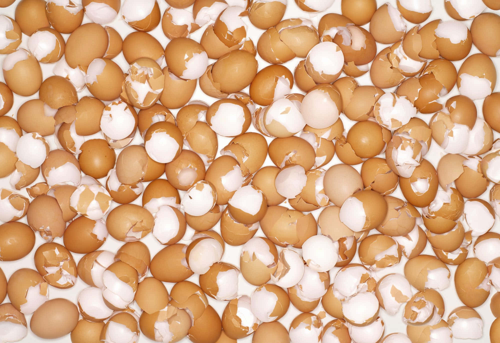 Eggshell 2000, 1372, brown eggshells, Full HD Desktop Wallpaper