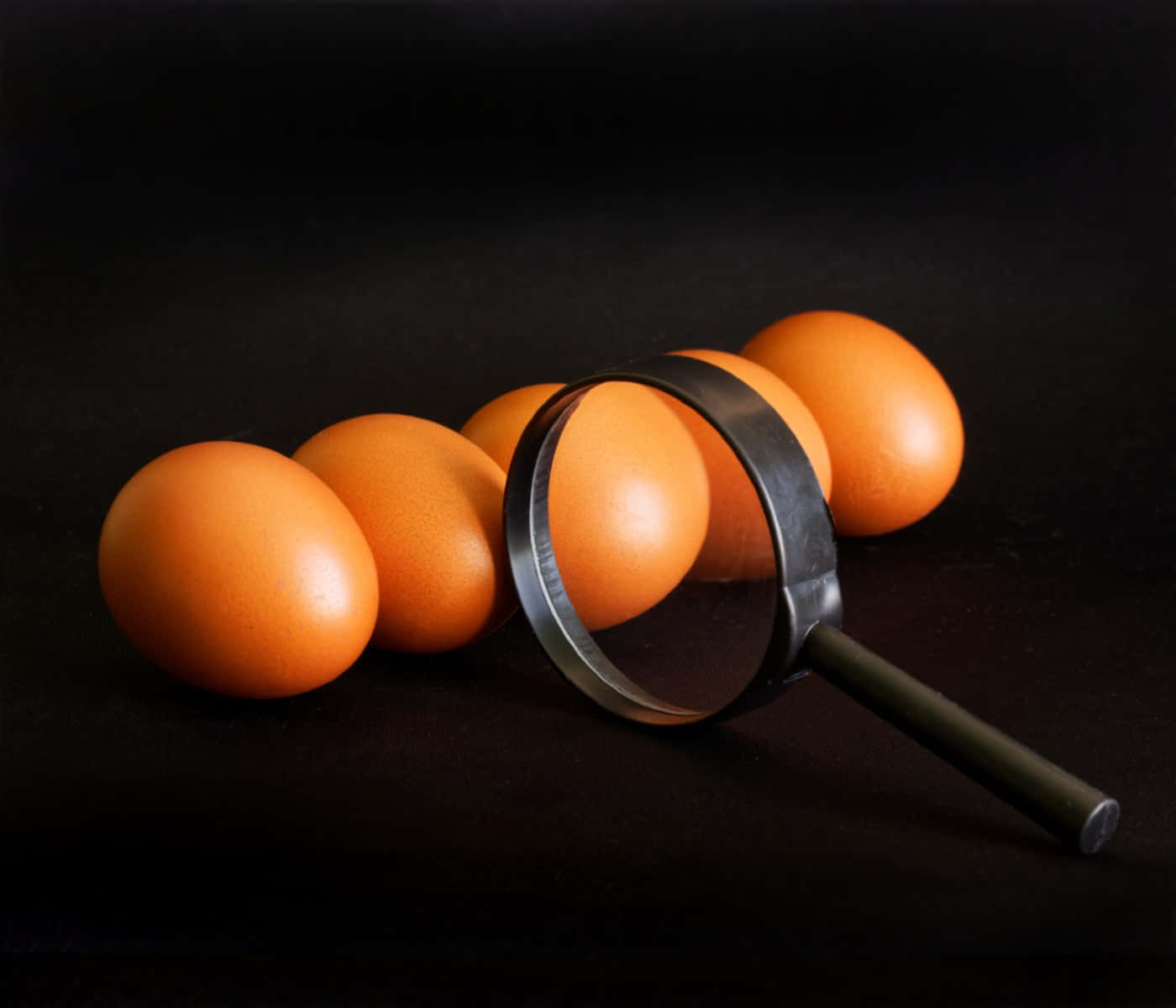 Eggshell, 1400 x 1200, magnifying glass, HD Desktop Wallpaper