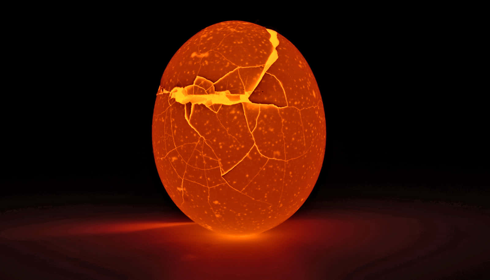eggshell, orange cracked egg, black background, HD Desktop Wallpaper