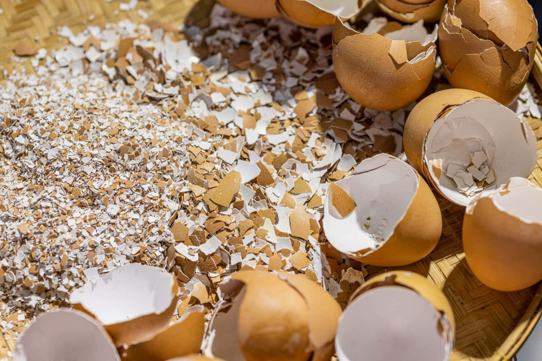Eggshell, brown eggshells, white fragments, HD Desktop Wallpaper