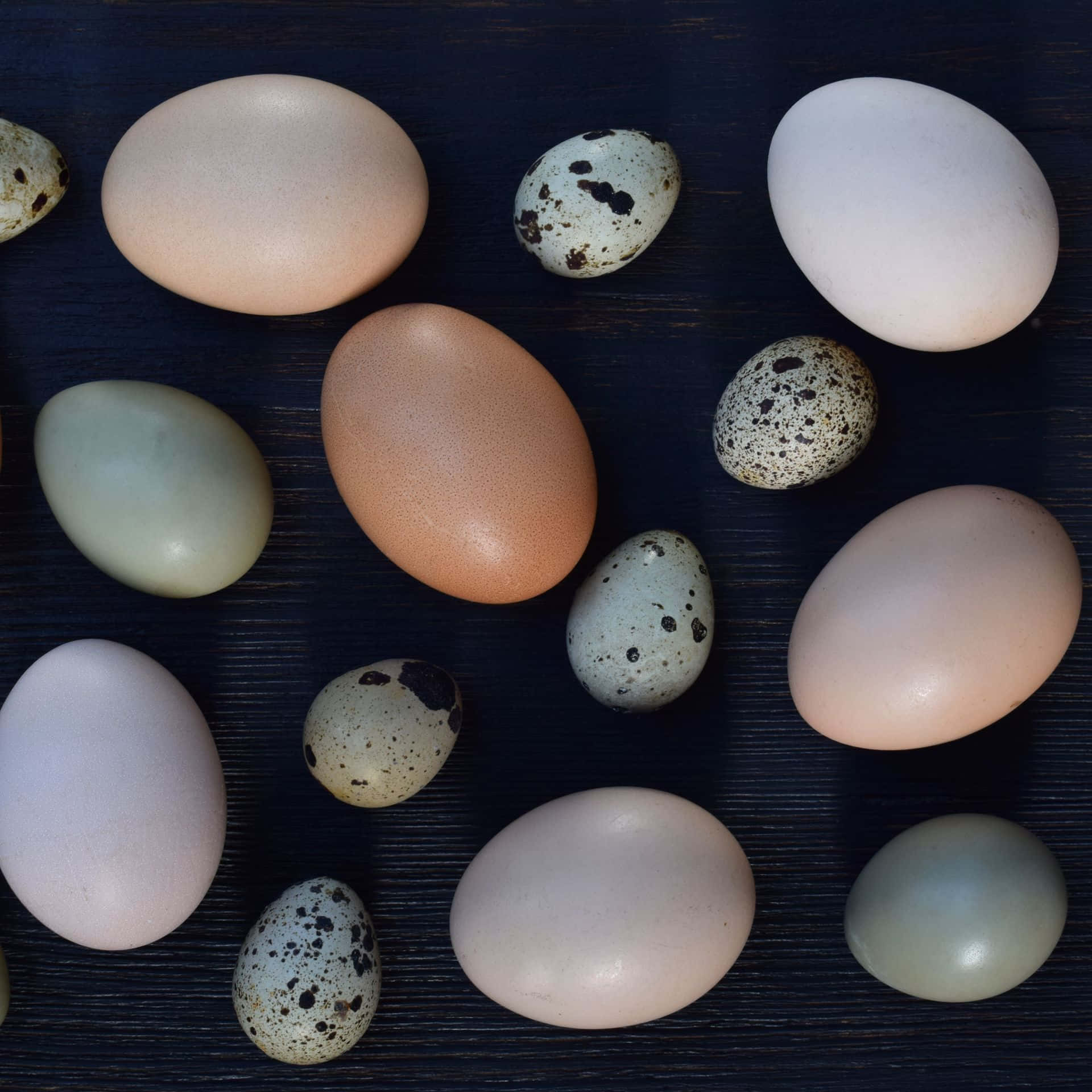 Eggshell, 1920 x 1920, soft pastel, Full HD Desktop Wallpaper