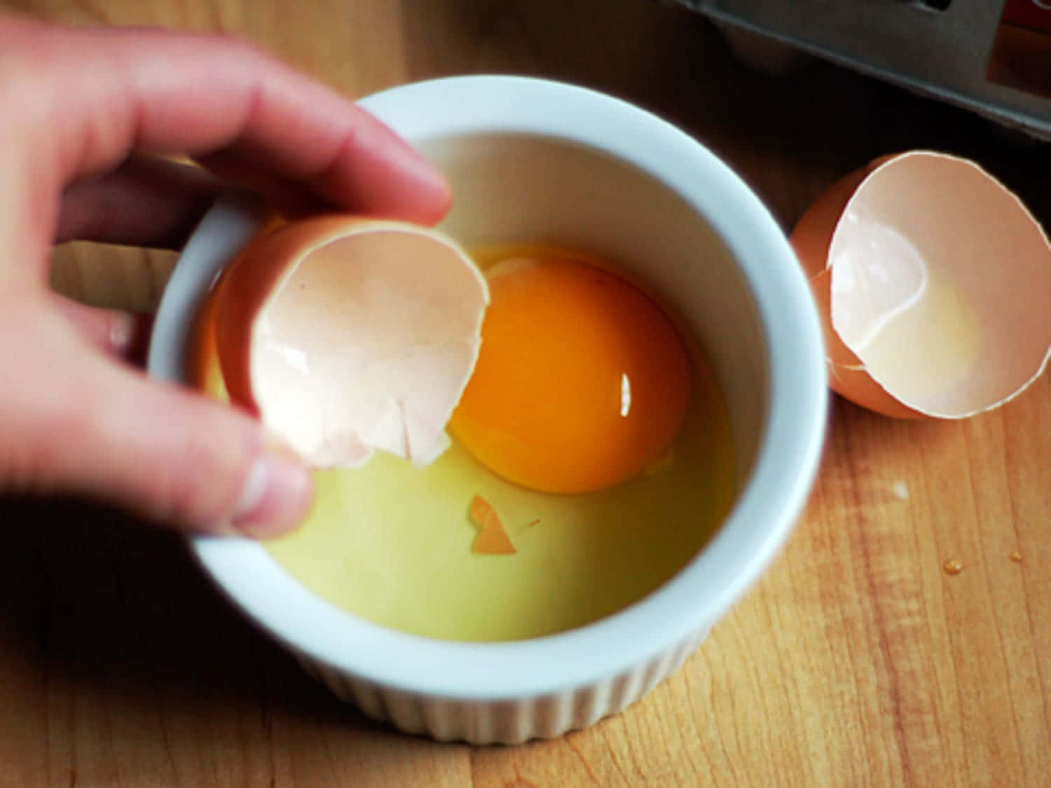 eggshell, ramkin, vibrant orange yolk, HD Desktop Wallpaper