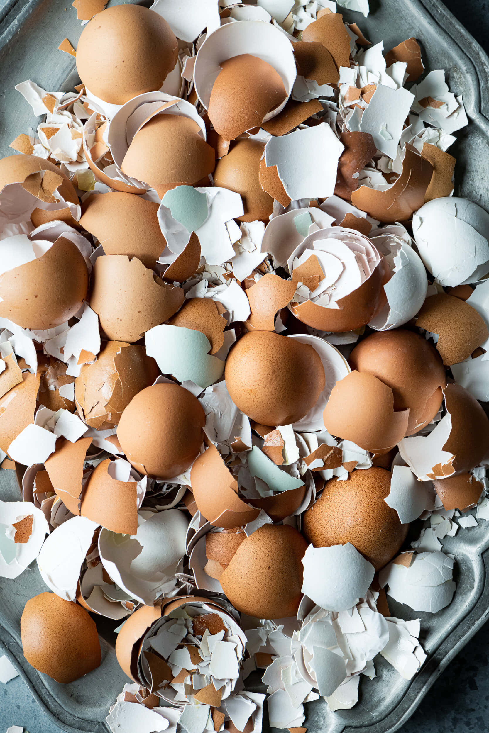 Eggshell, brown, white, Full HD Phone Wallpaper