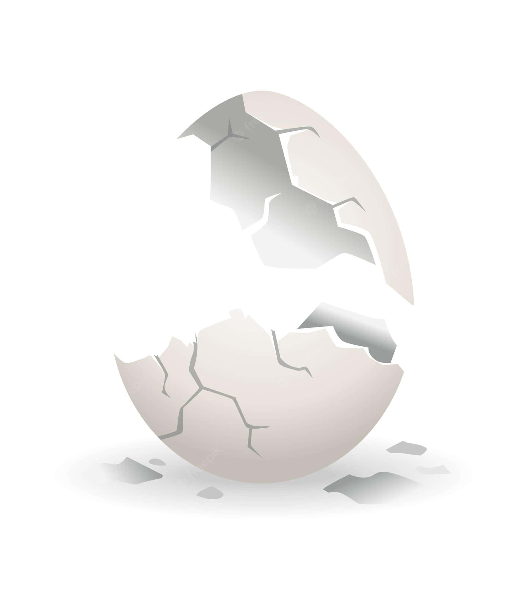 Eggshell, cracked eggshell, two pieces, Full HD Phone Wallpaper