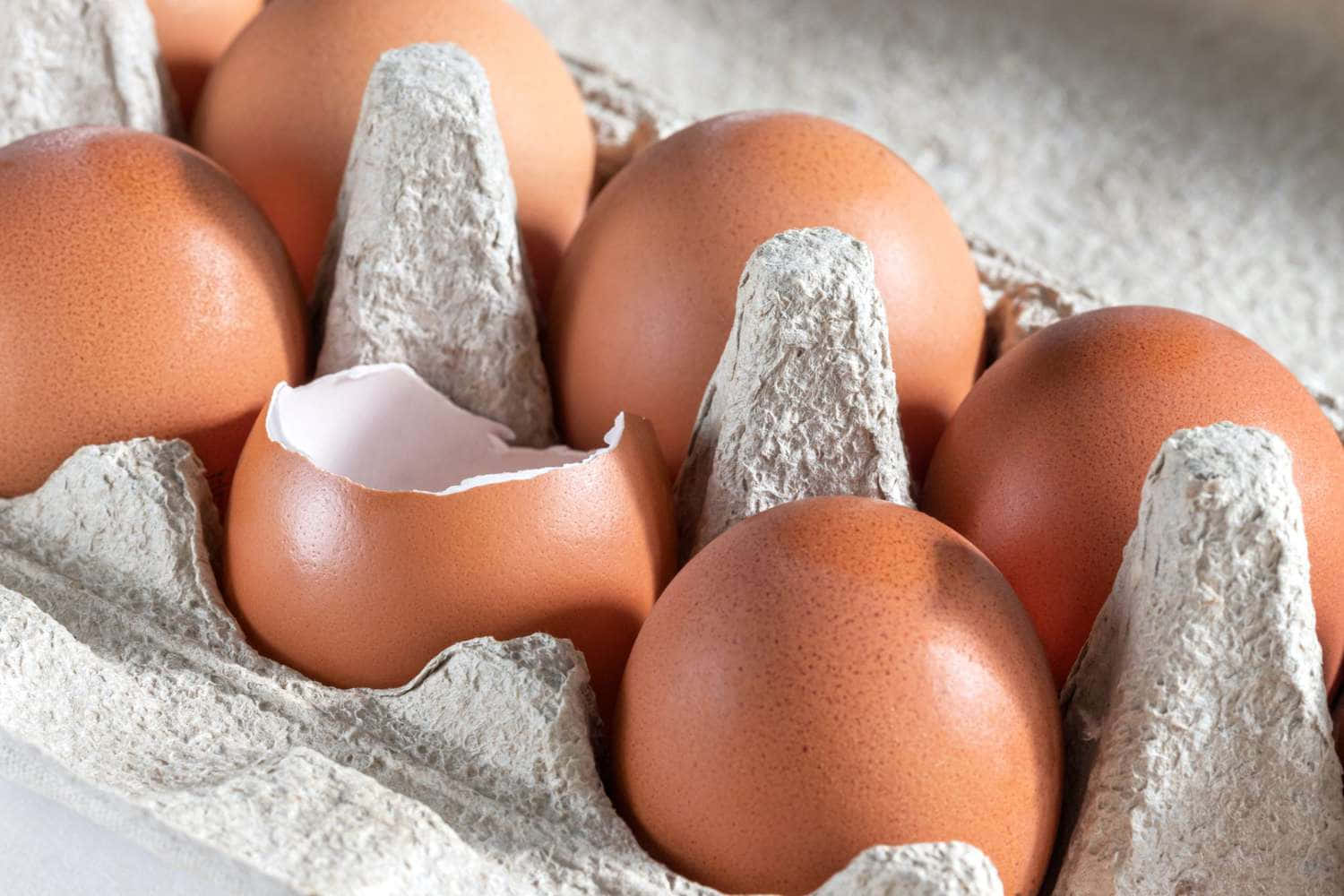 Eggshell, brown eggs, cardboard tray, HD Desktop Wallpaper