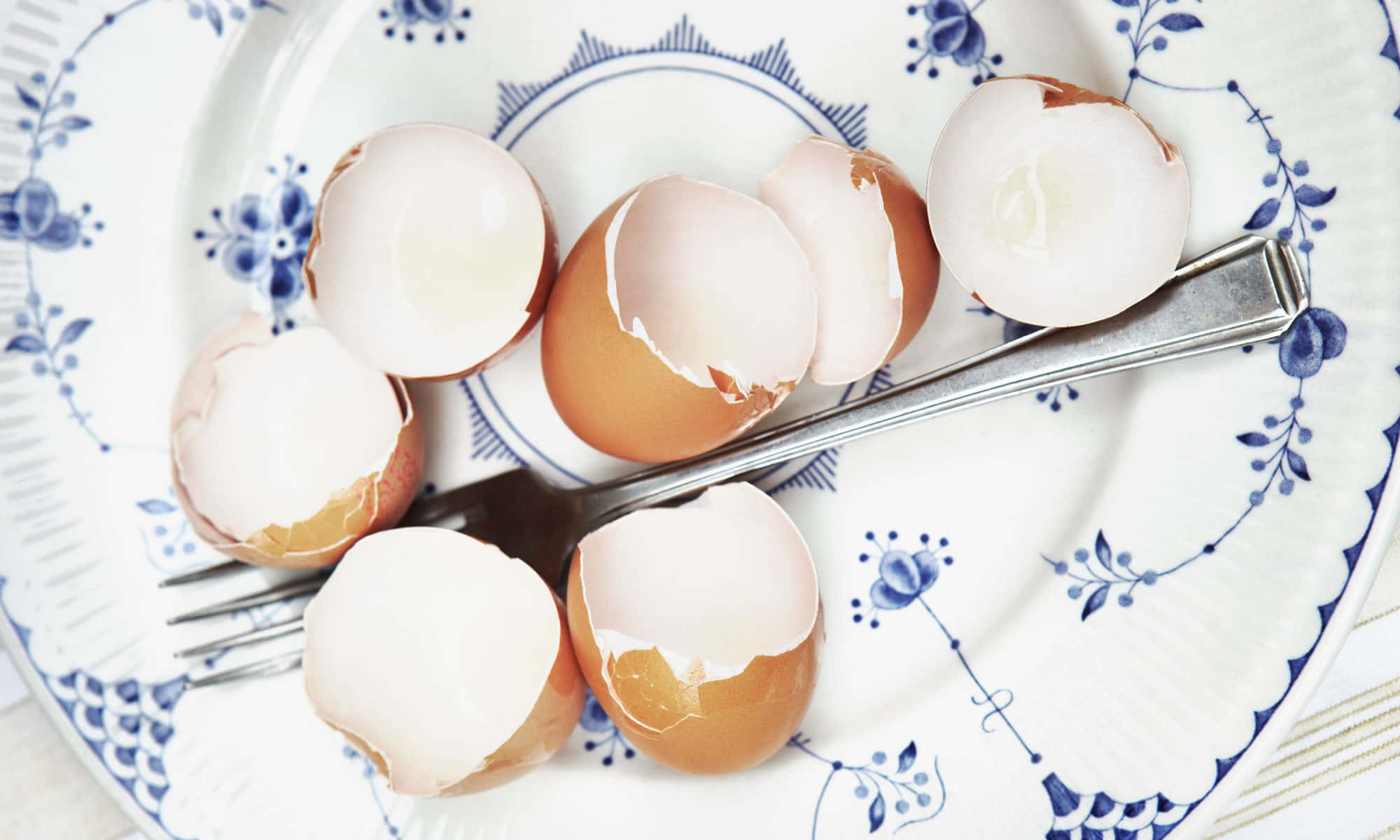 eggshell 2000, blue floral plate, cracked brown eggshells, Full HD Desktop Wallpaper