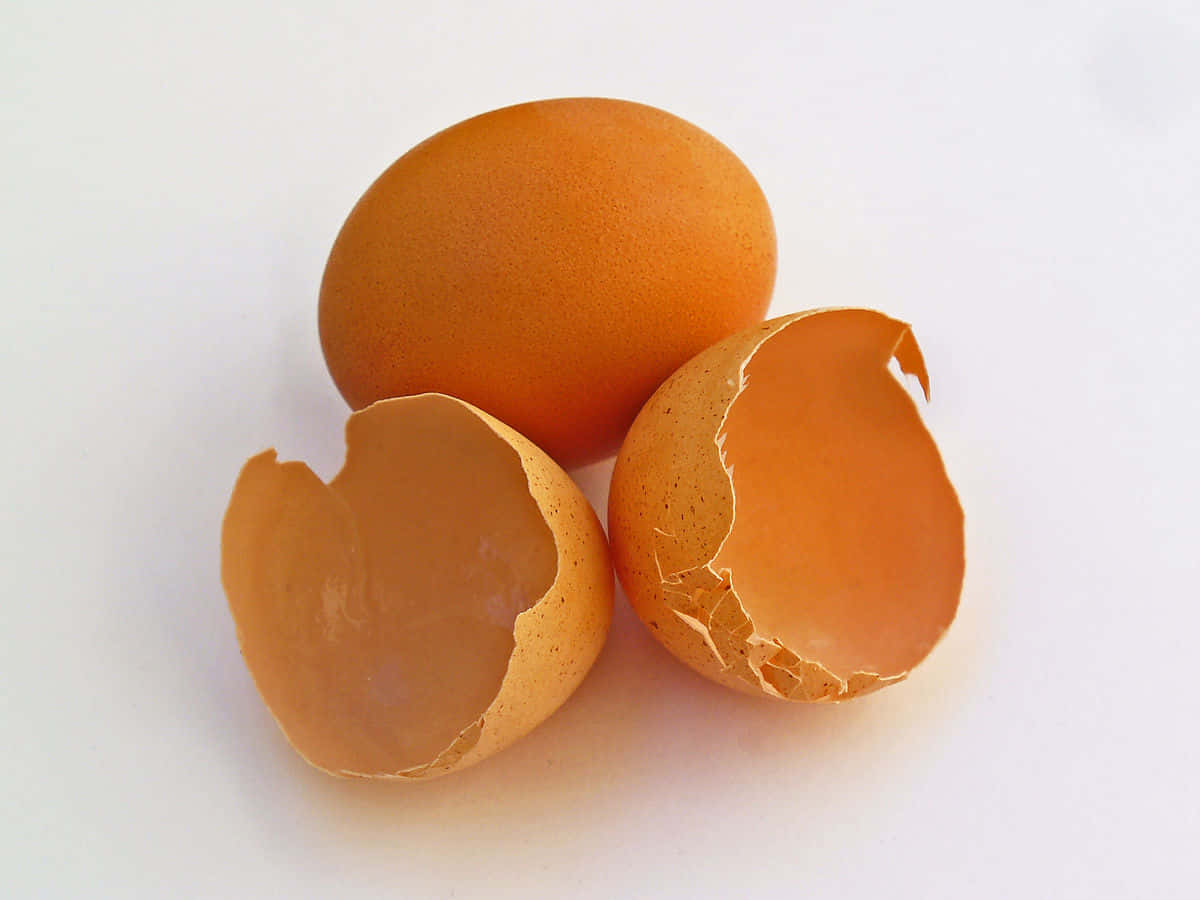 eggshell, brown egg, broken halves, SD Desktop Wallpaper