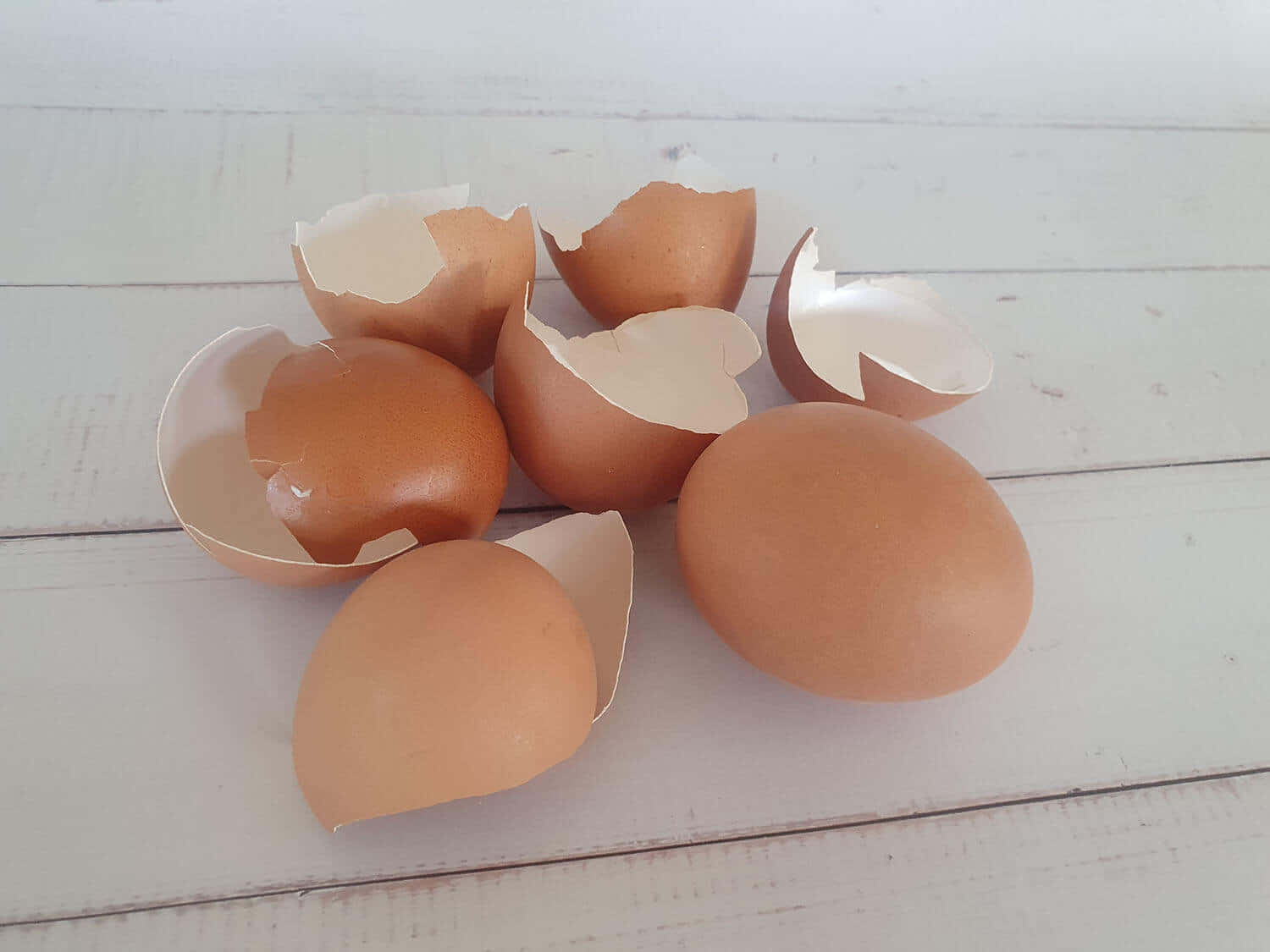 Eggshell, brown eggs, broken shells, HD Desktop Wallpaper