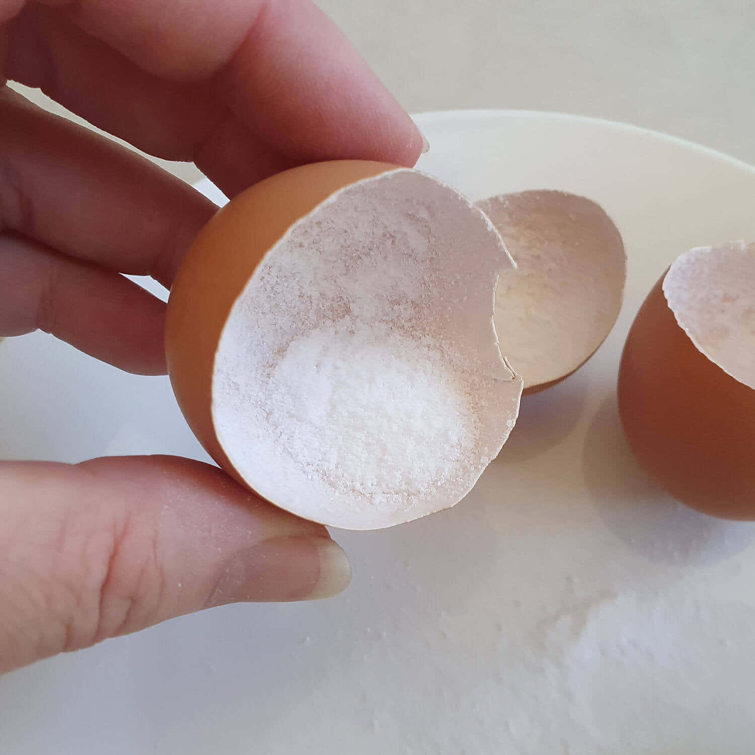 Eggshell, 1500 x 1500, white powder, HD Desktop Wallpaper