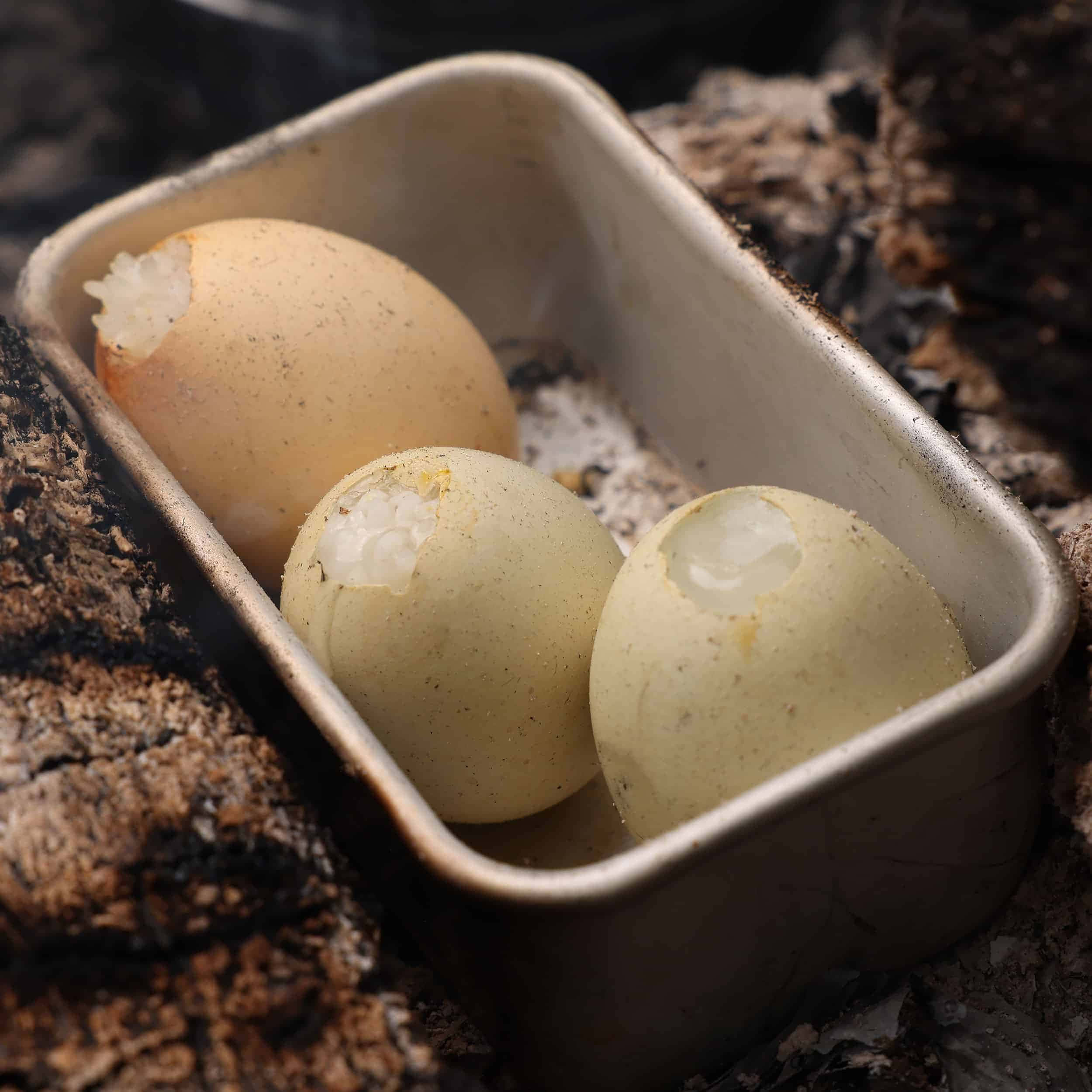 eggshell, metal tray, smoldering ashes, Full HD Desktop Wallpaper